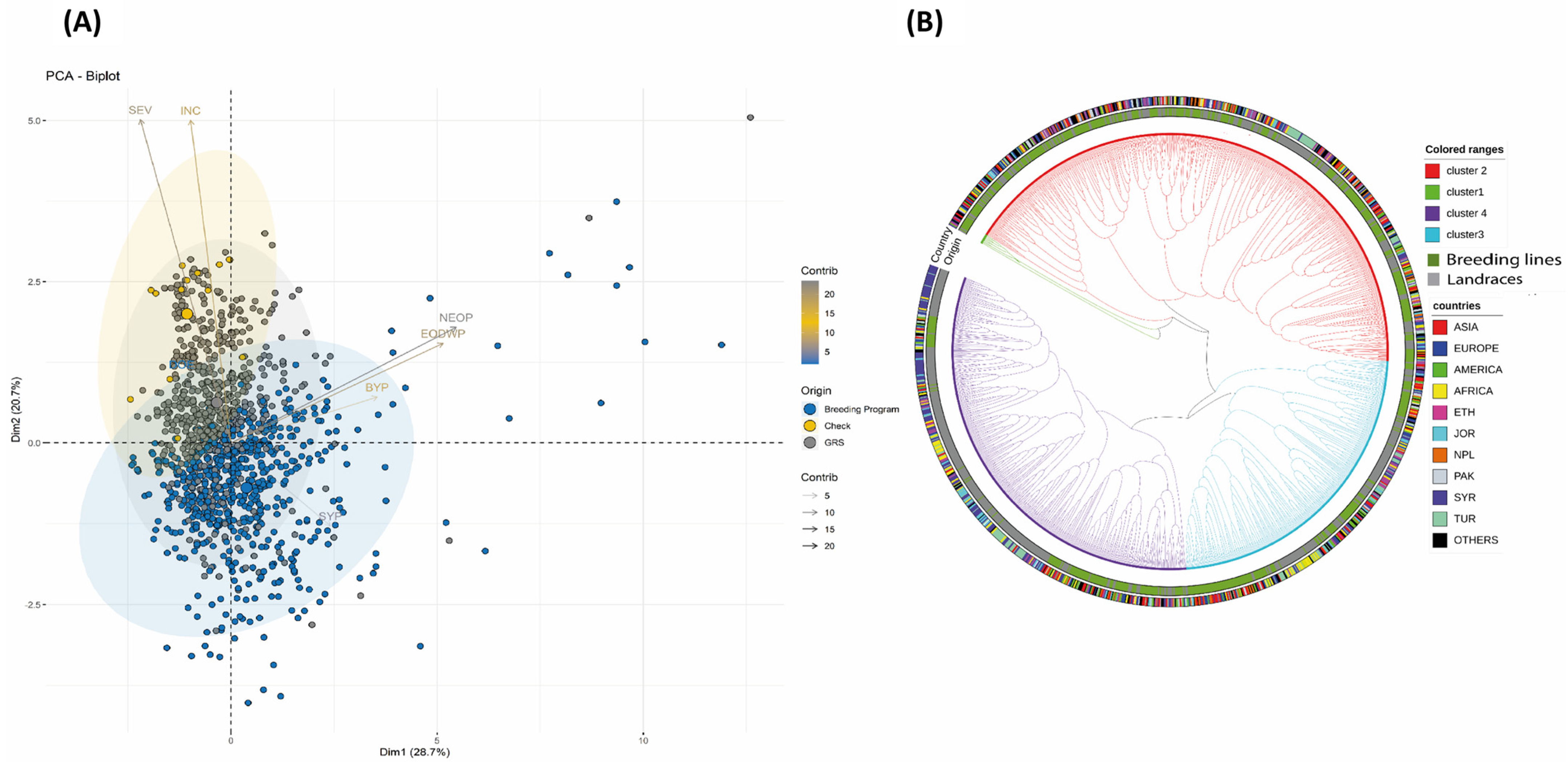 Plants 12 02064 g004