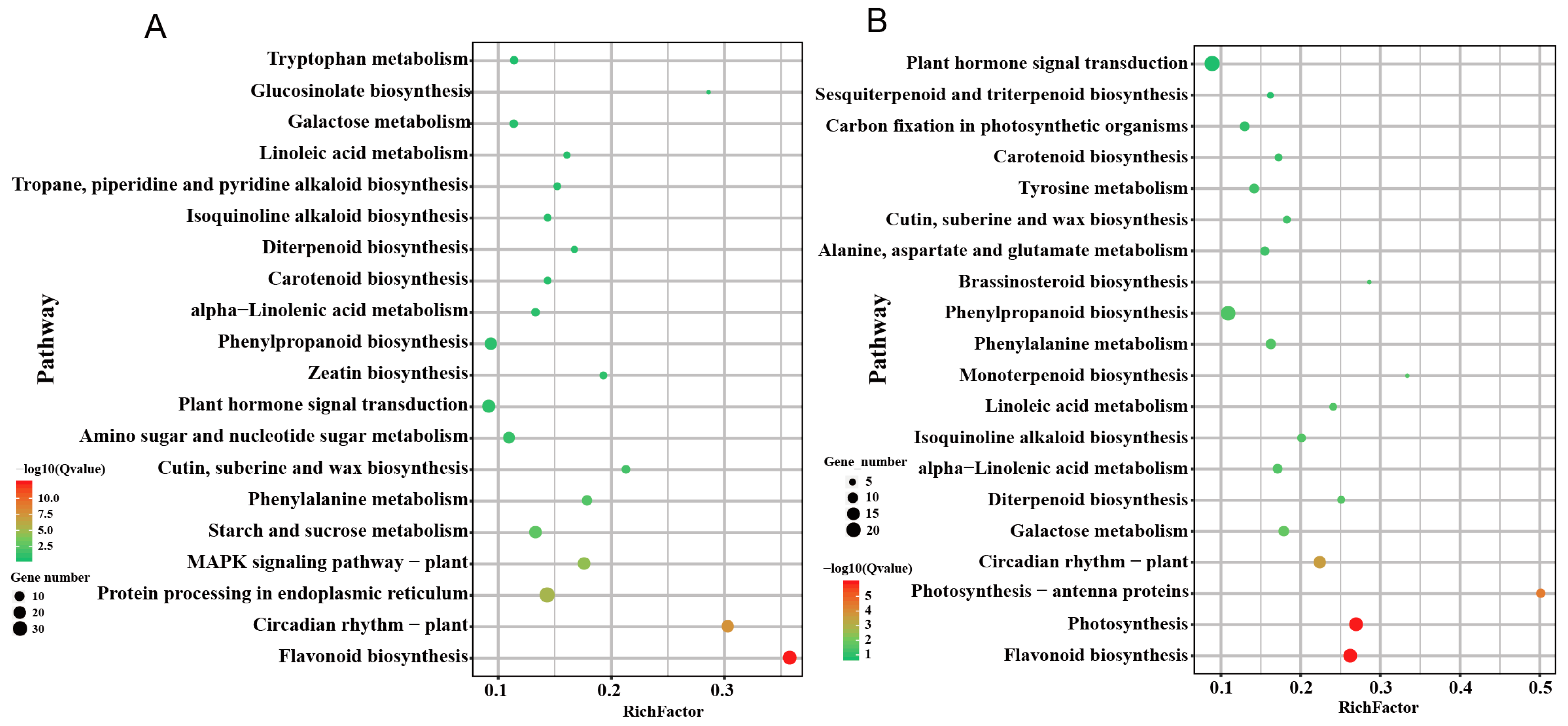 Plants 12 02066 g006 Plants 12 02066 g006