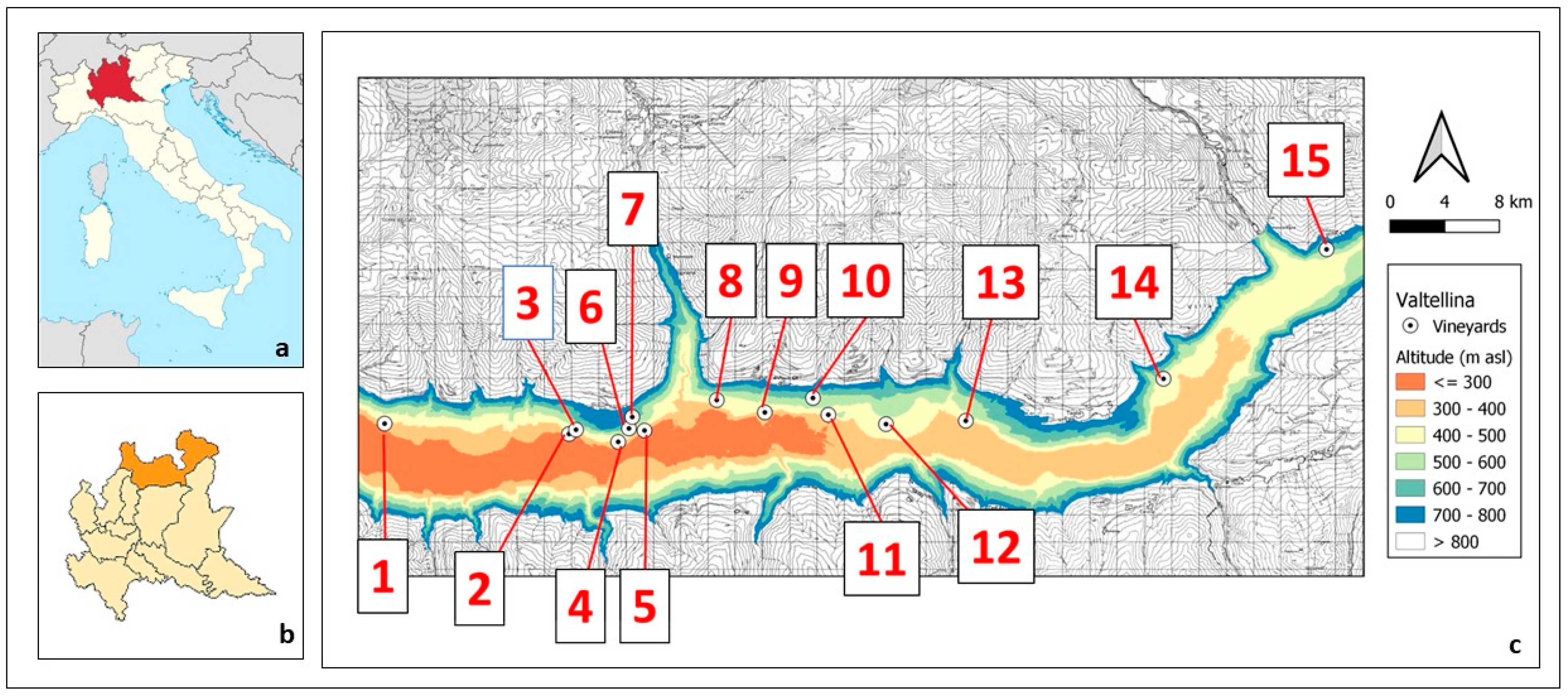 Plants 12 02068 g001