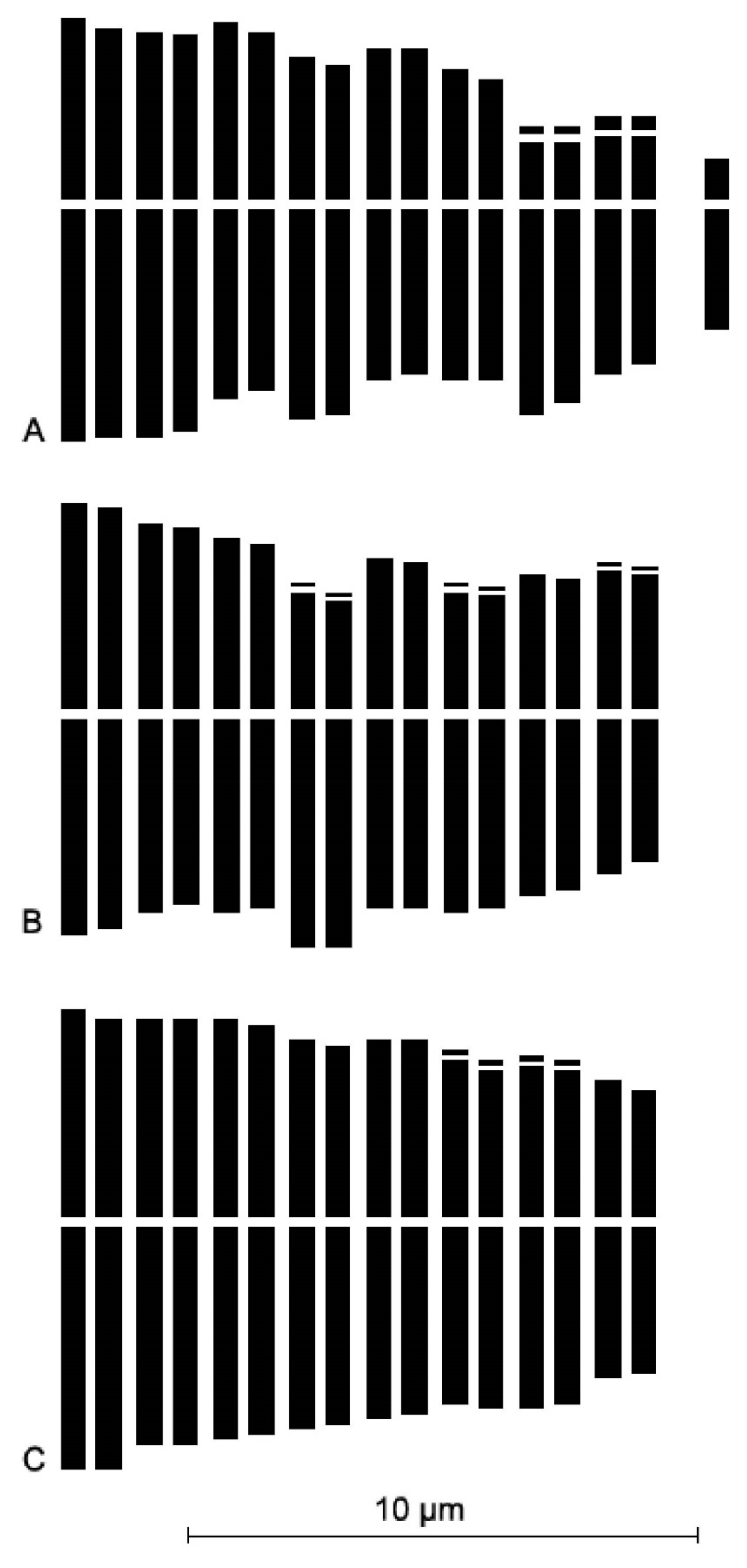 Plants 12 02074 g004