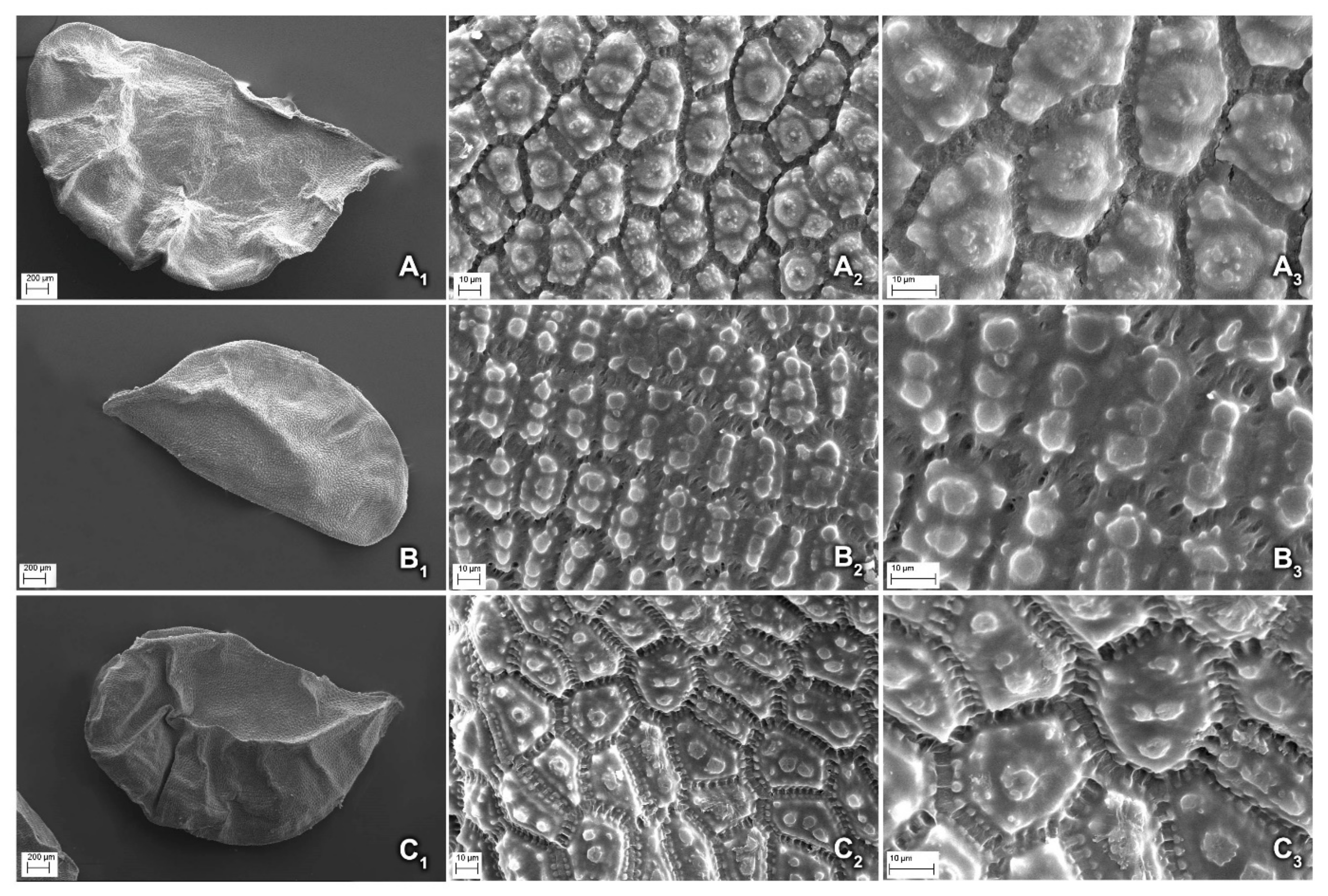 Plants 12 02074 g006