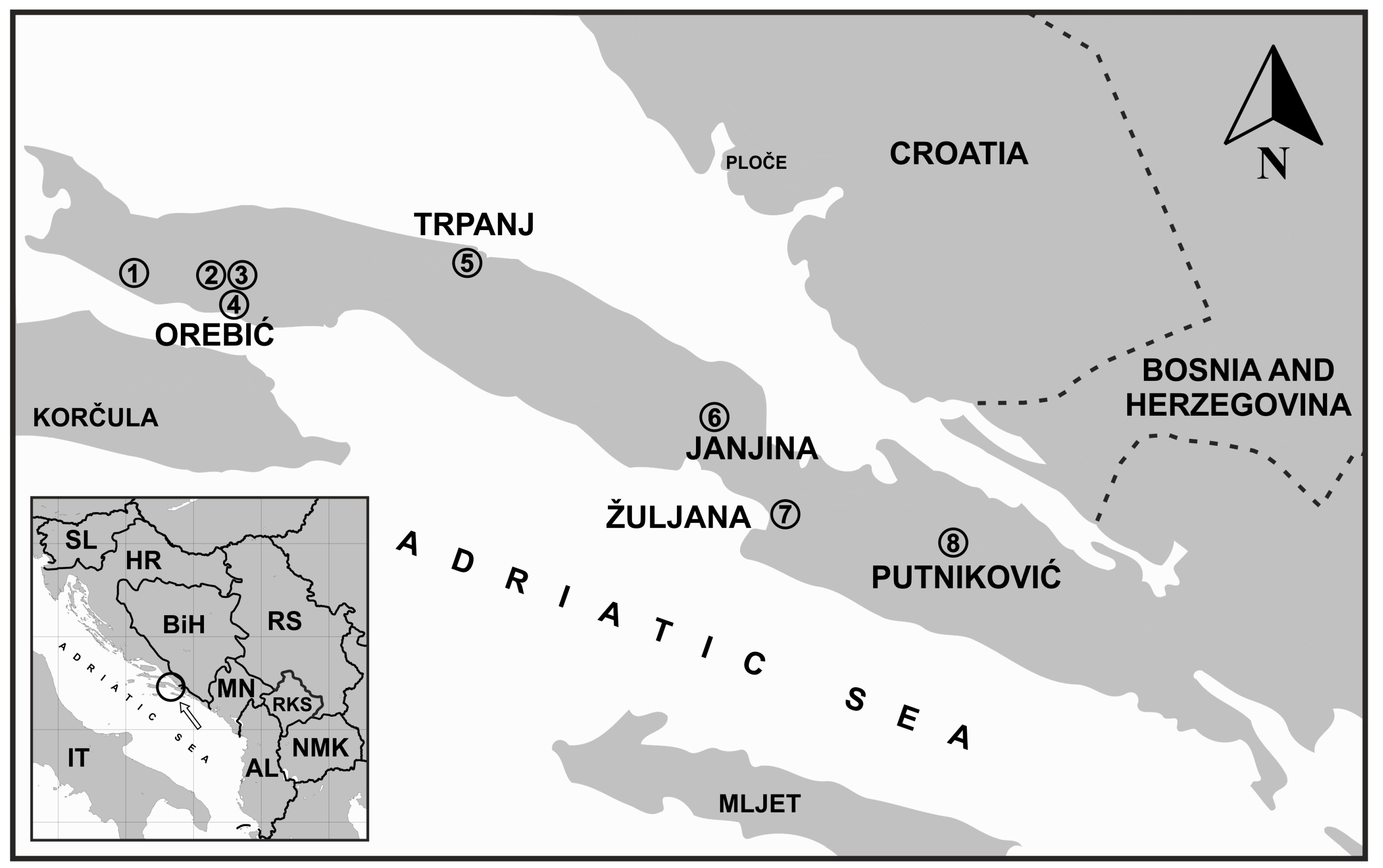 Plants 12 02080 g001