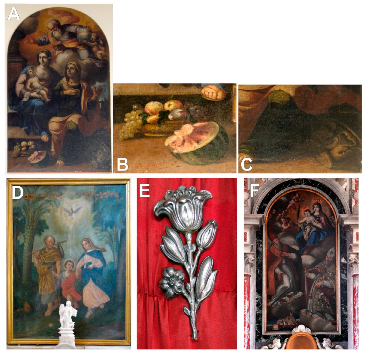 Plants 12 02080 g002