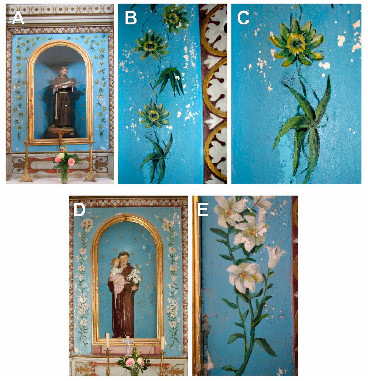 Plants 12 02080 g003