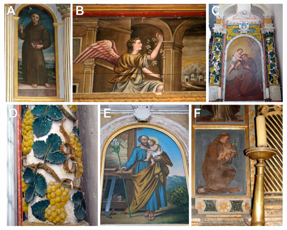 Plants 12 02080 g004