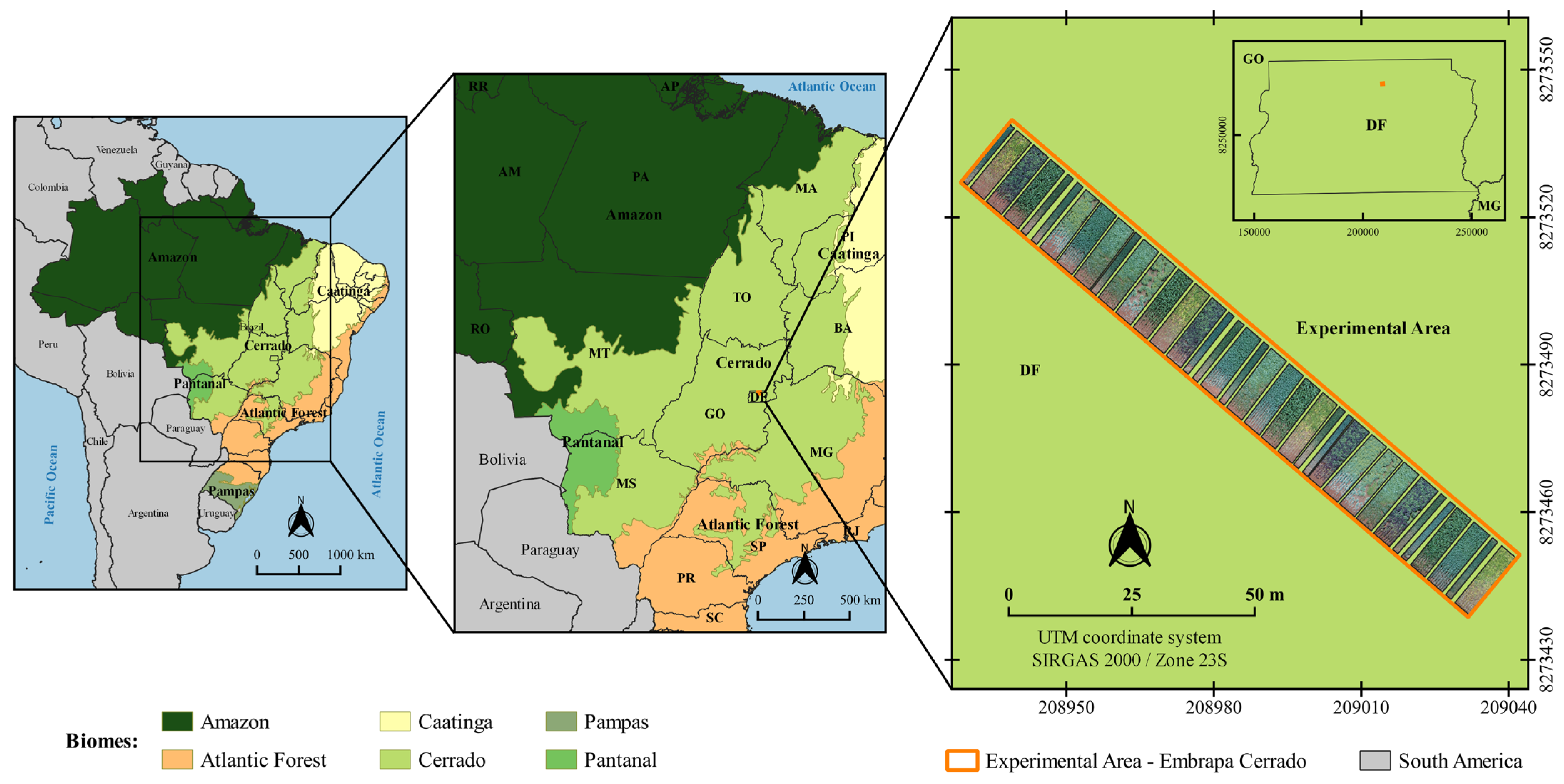 Plants 12 02081 g002 Plants 12 02081 g002
