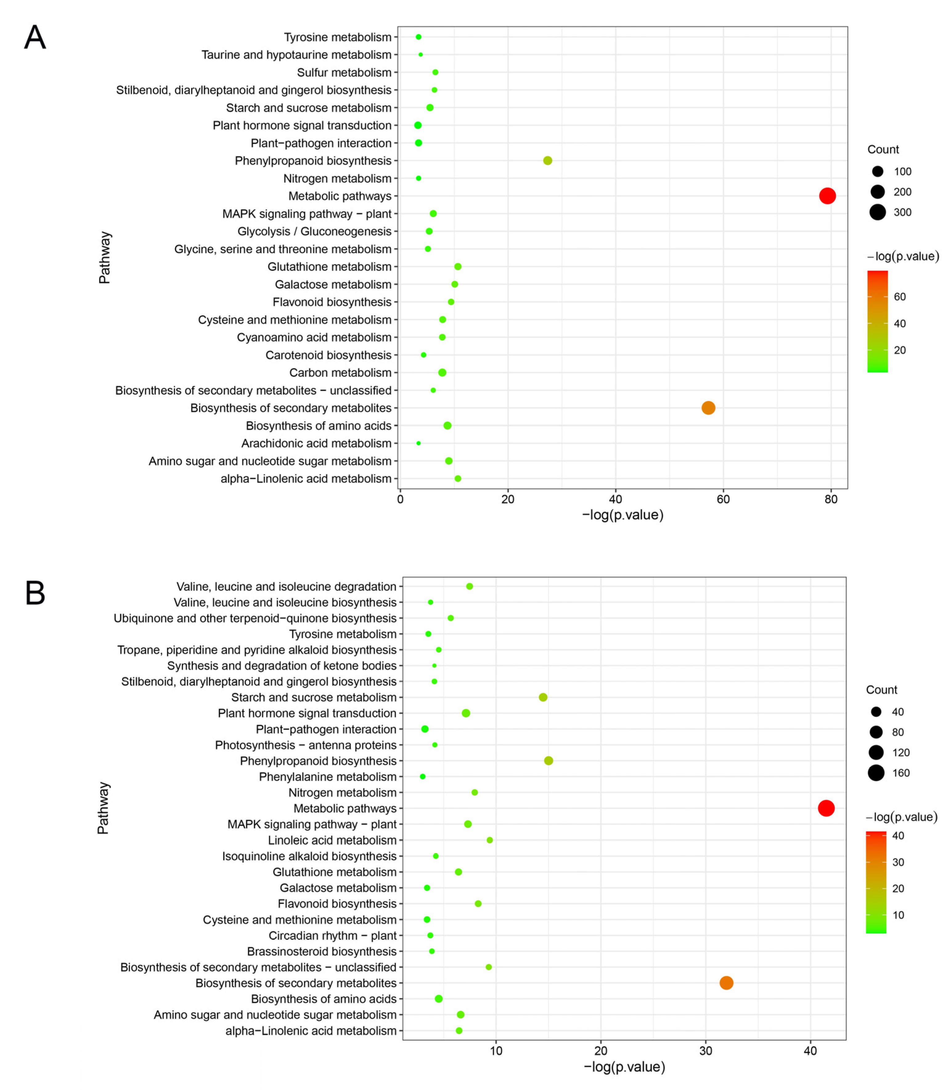 Plants 12 02082 g005 Plants 12 02082 g005