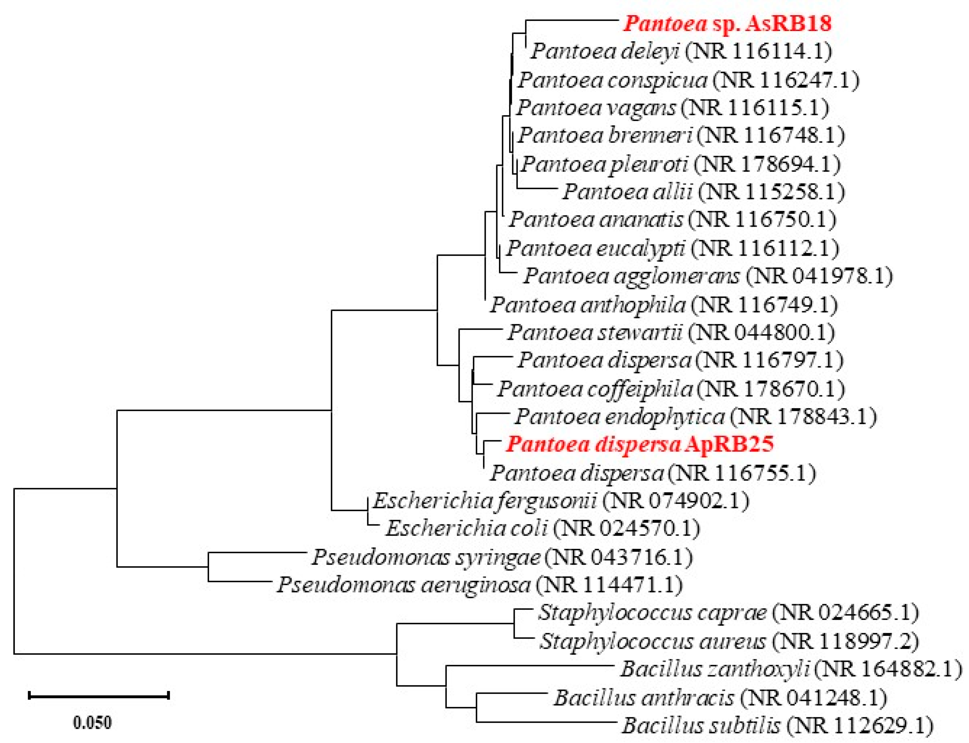 Plants 12 02085 g001