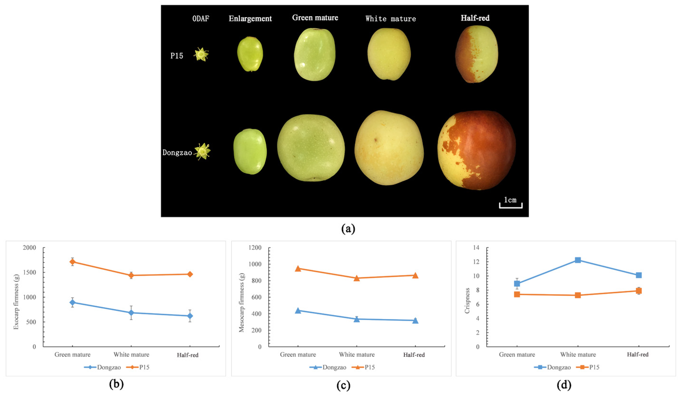 Plants 12 02087 g001 Plants 12 02087 g001