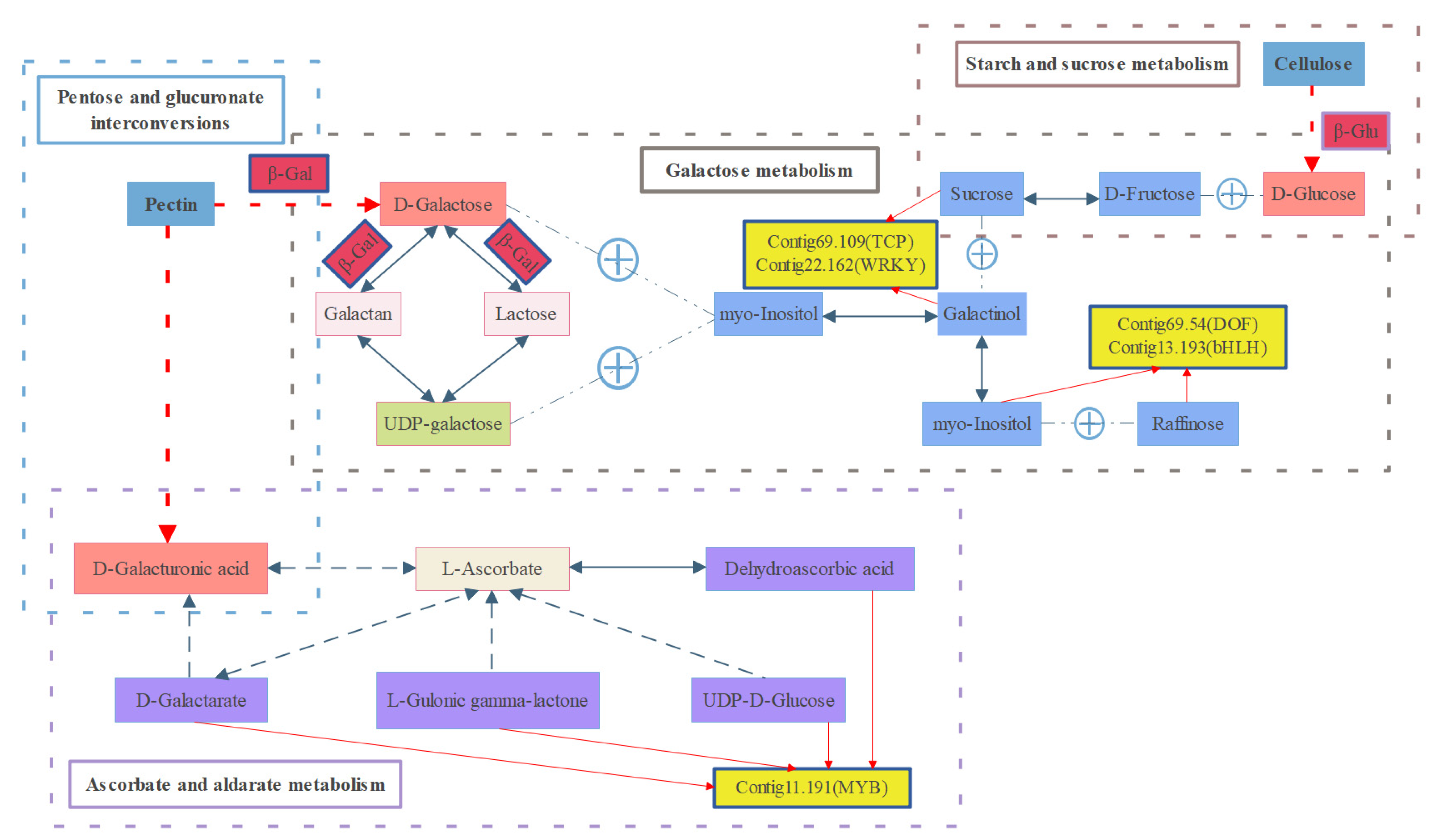Plants 12 02087 g005 Plants 12 02087 g005