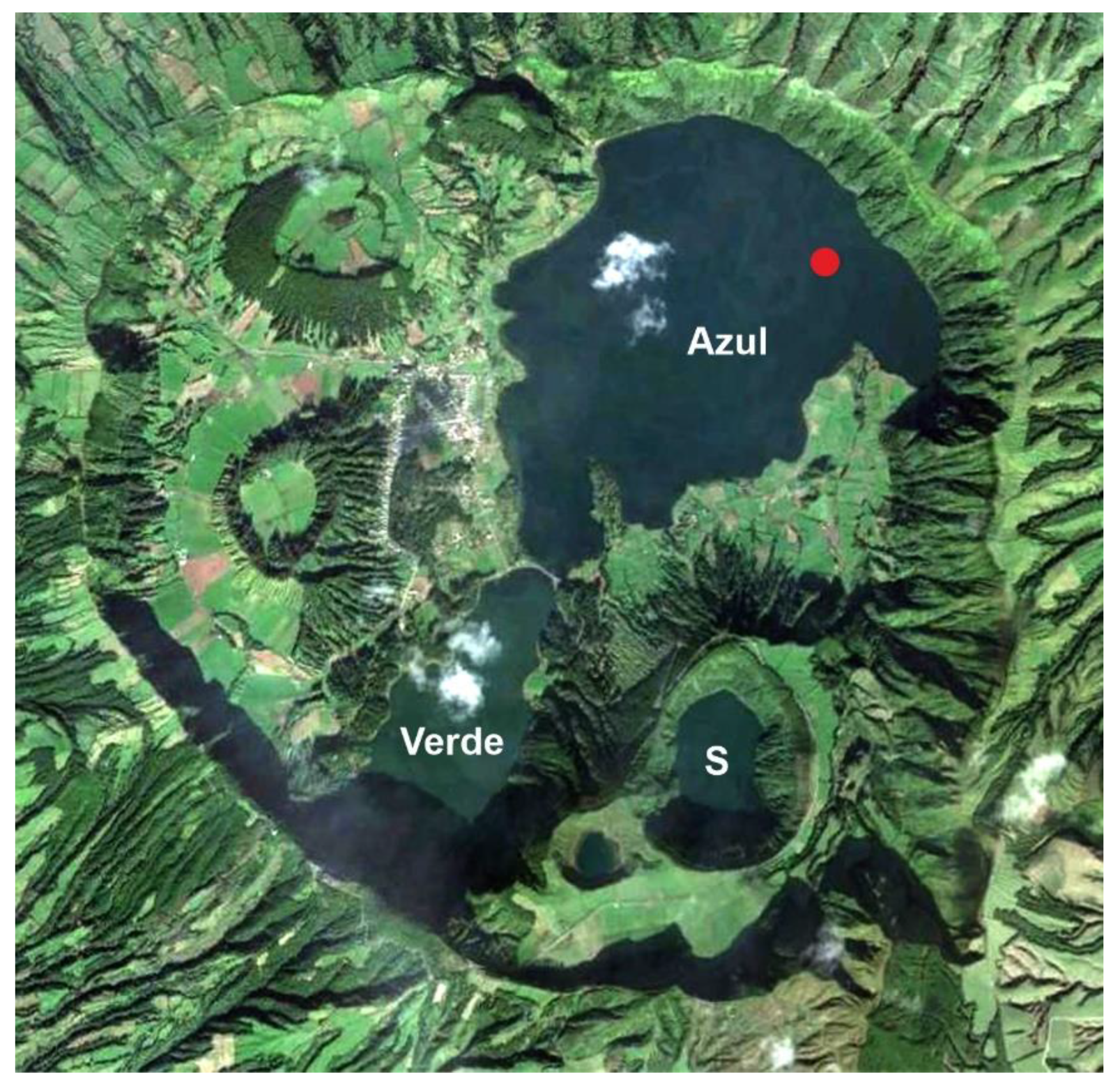 Plants 12 02089 g004