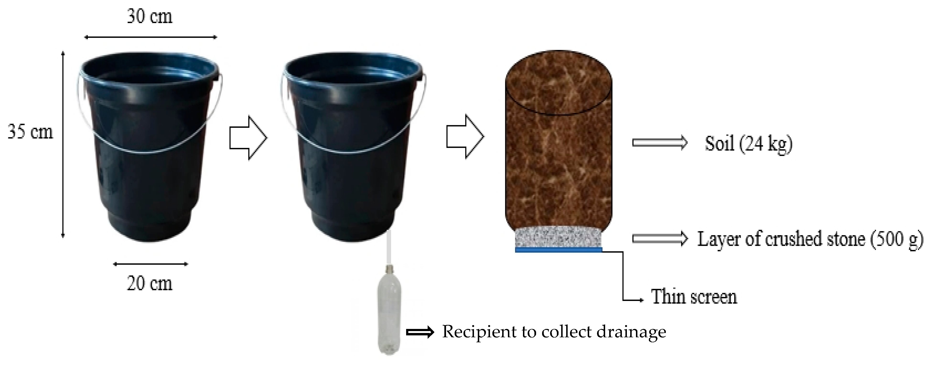 Plants 12 02090 g003