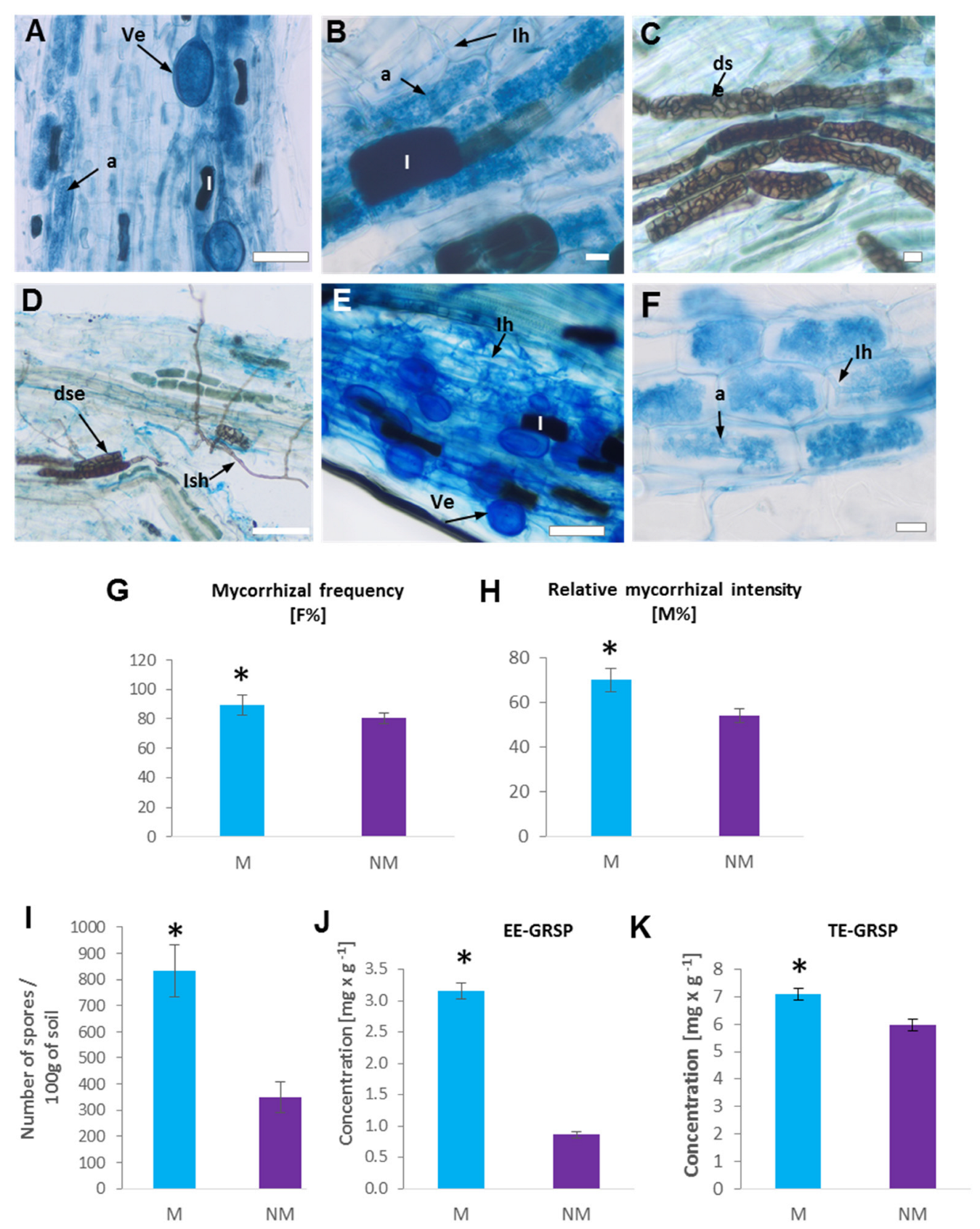 Plants 12 02092 g003 Plants 12 02092 g003