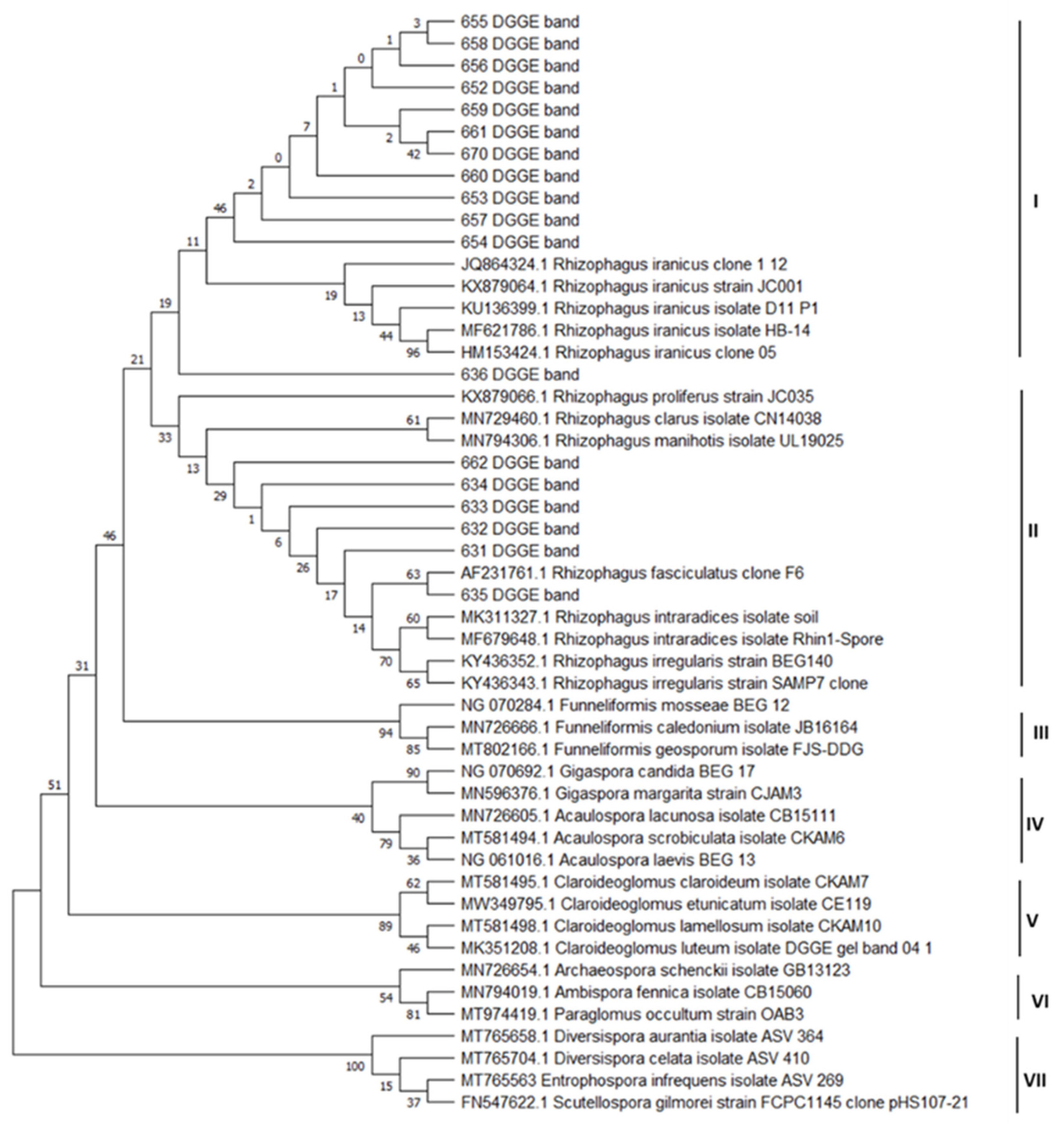 Plants 12 02092 g005 Plants 12 02092 g005