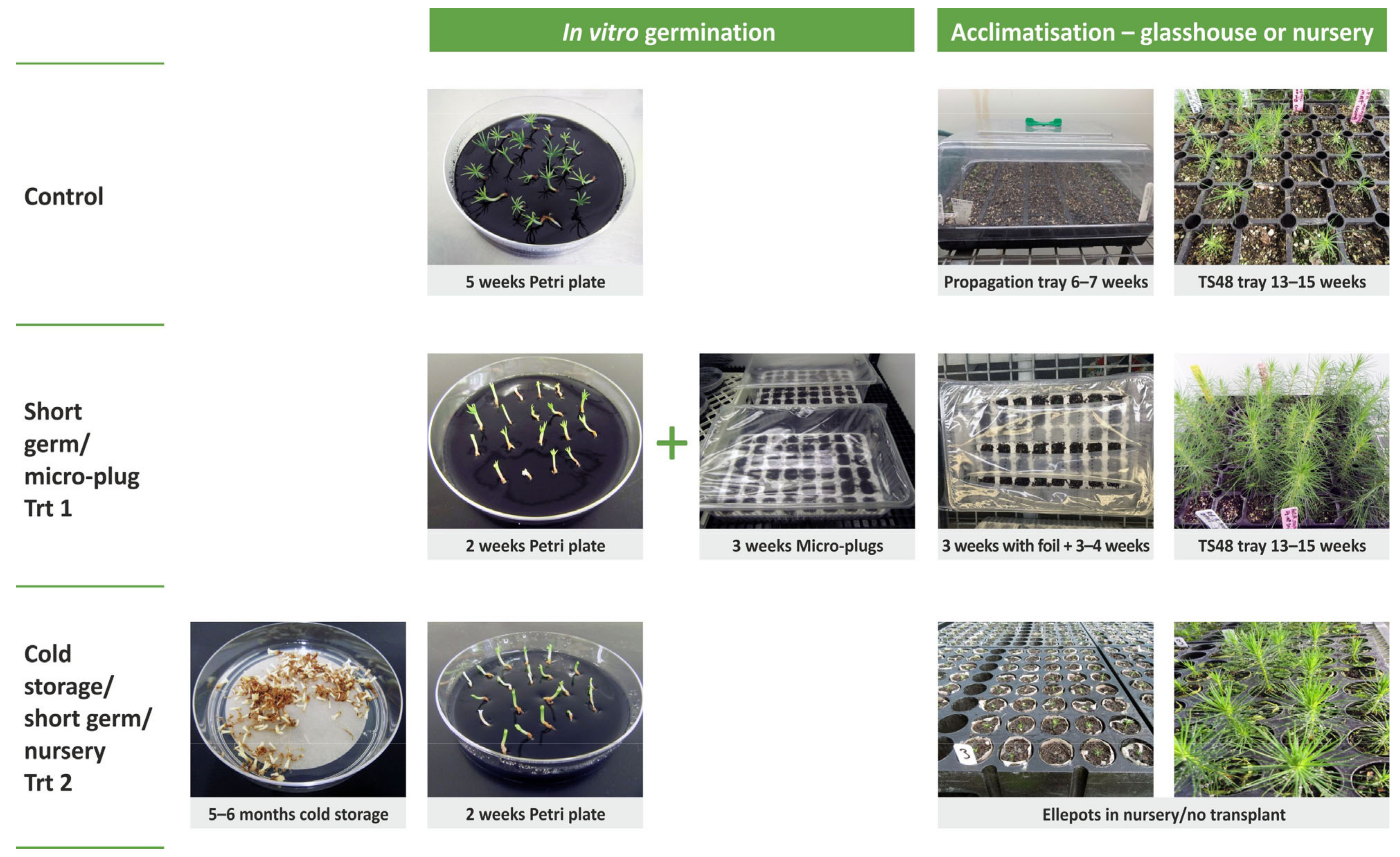 Plants 12 02095 g001 Plants 12 02095 g001