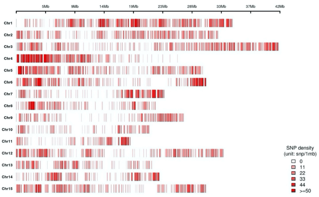 Plants 12 02097 g001 Plants 12 02097 g001