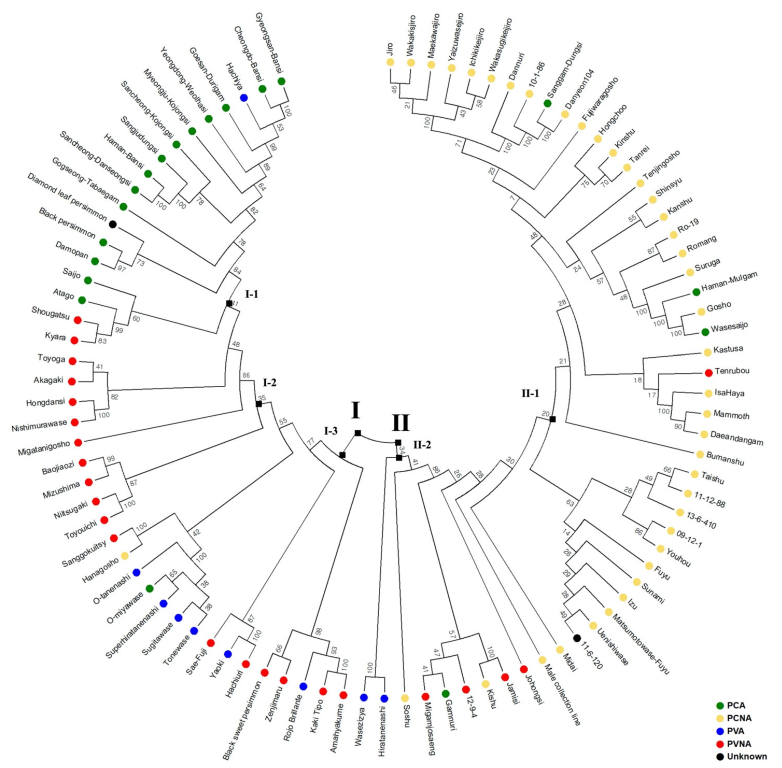 Plants 12 02097 g003 Plants 12 02097 g003