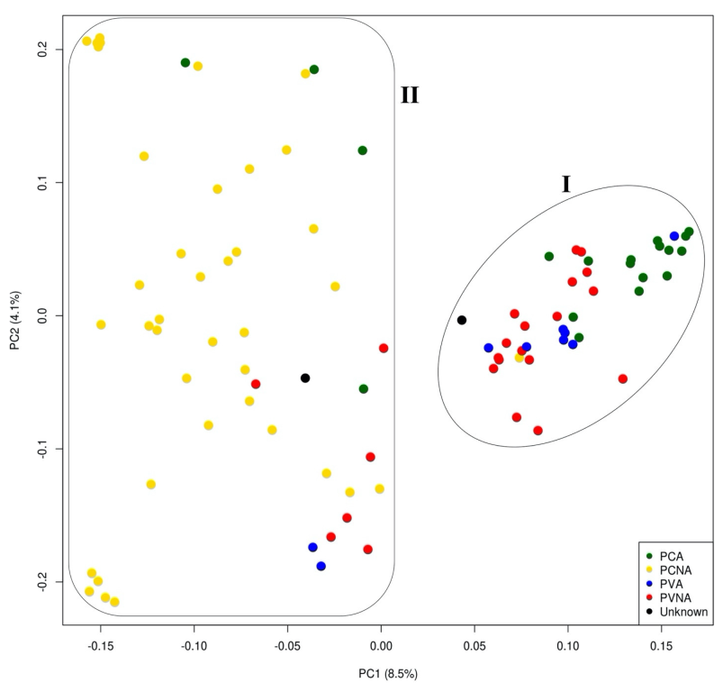 Plants 12 02097 g004 Plants 12 02097 g004