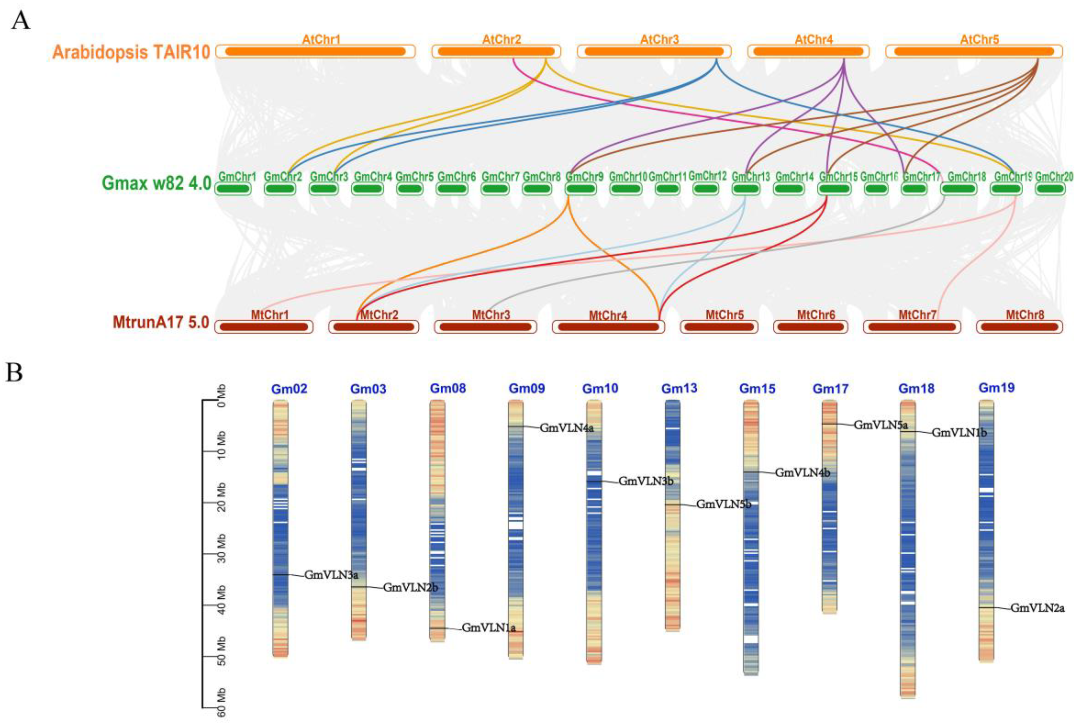 Plants 12 02101 g004