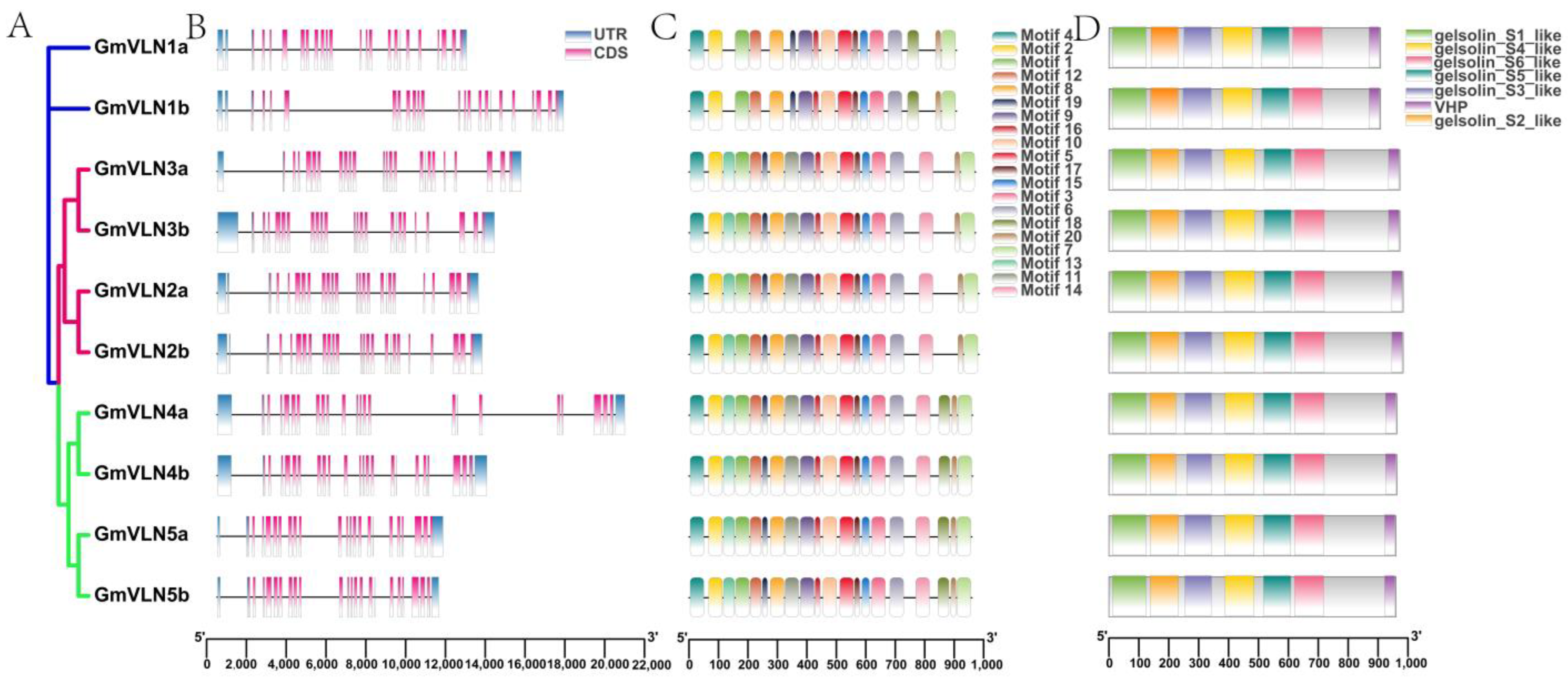 Plants 12 02101 g006