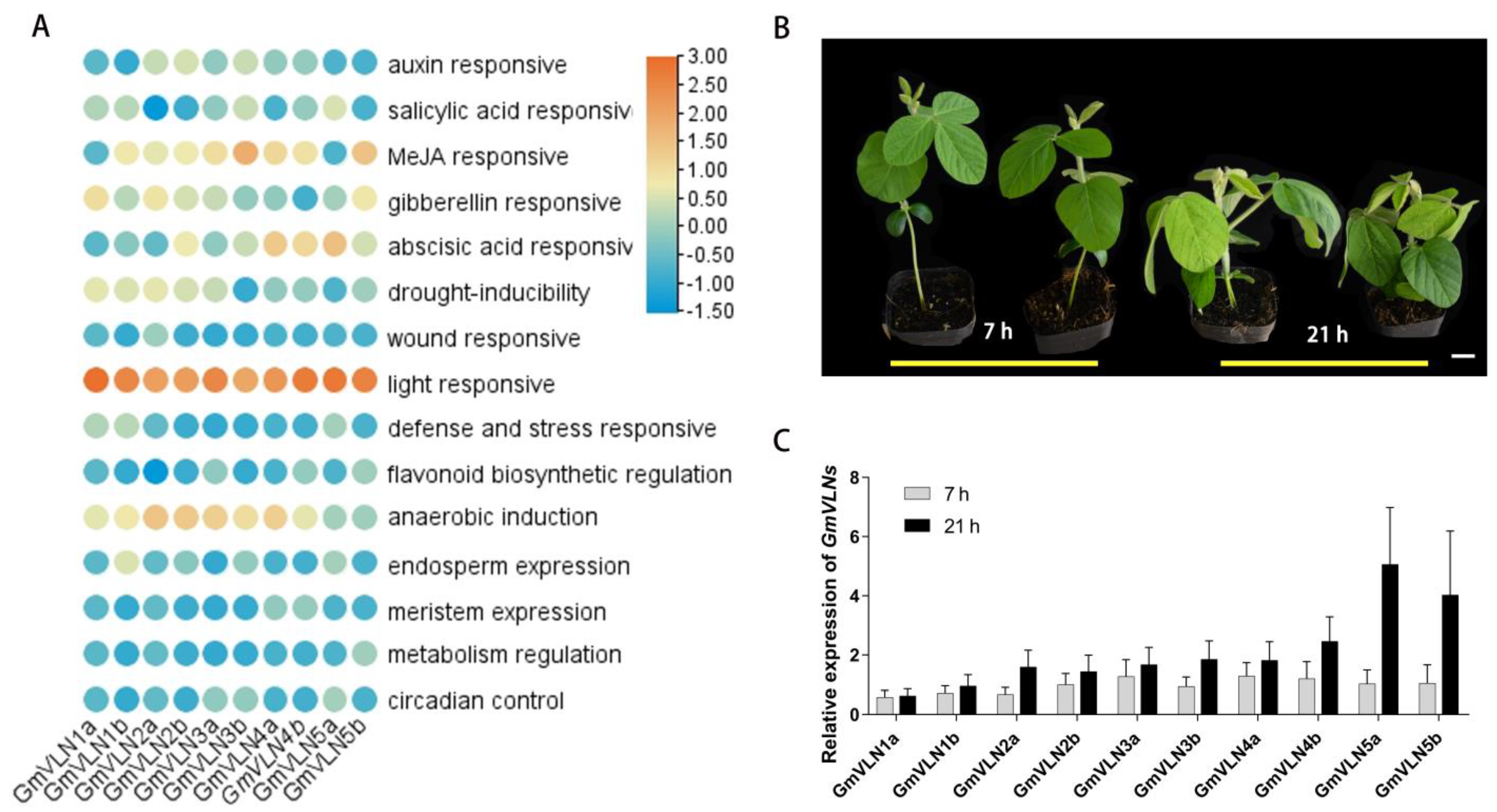 Plants 12 02101 g008