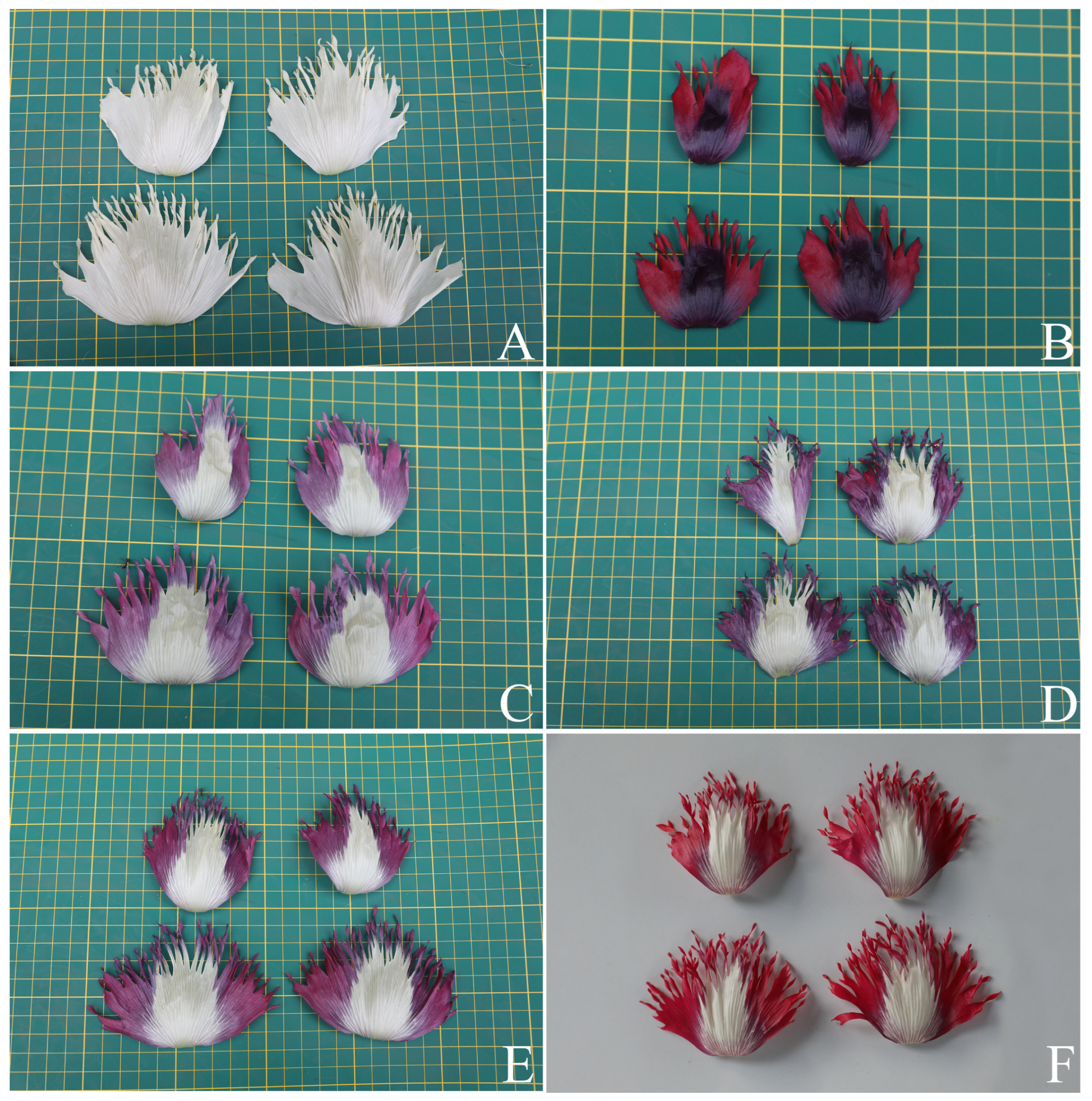 Plants 12 02105 g009