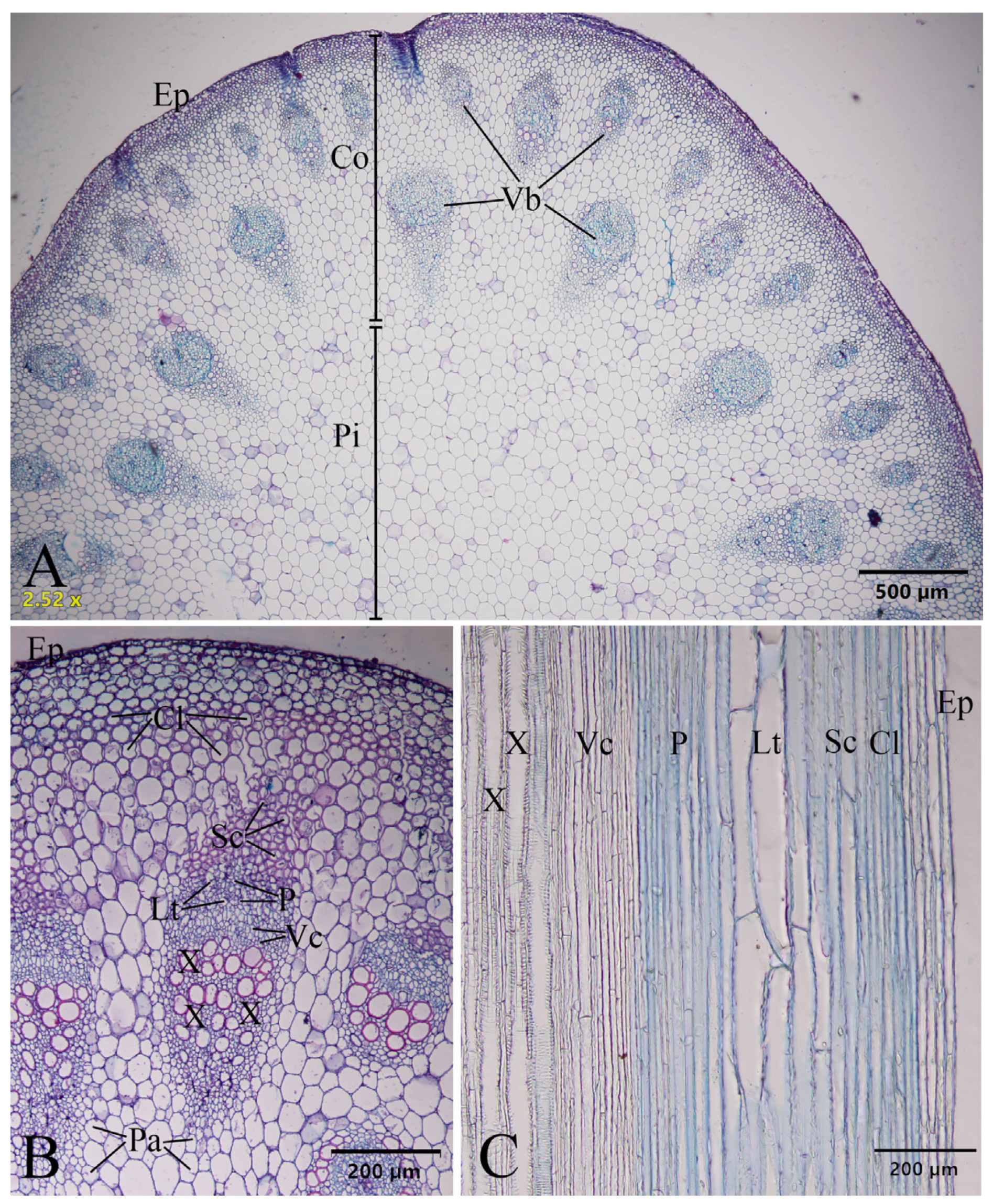 Plants 12 02105 g011