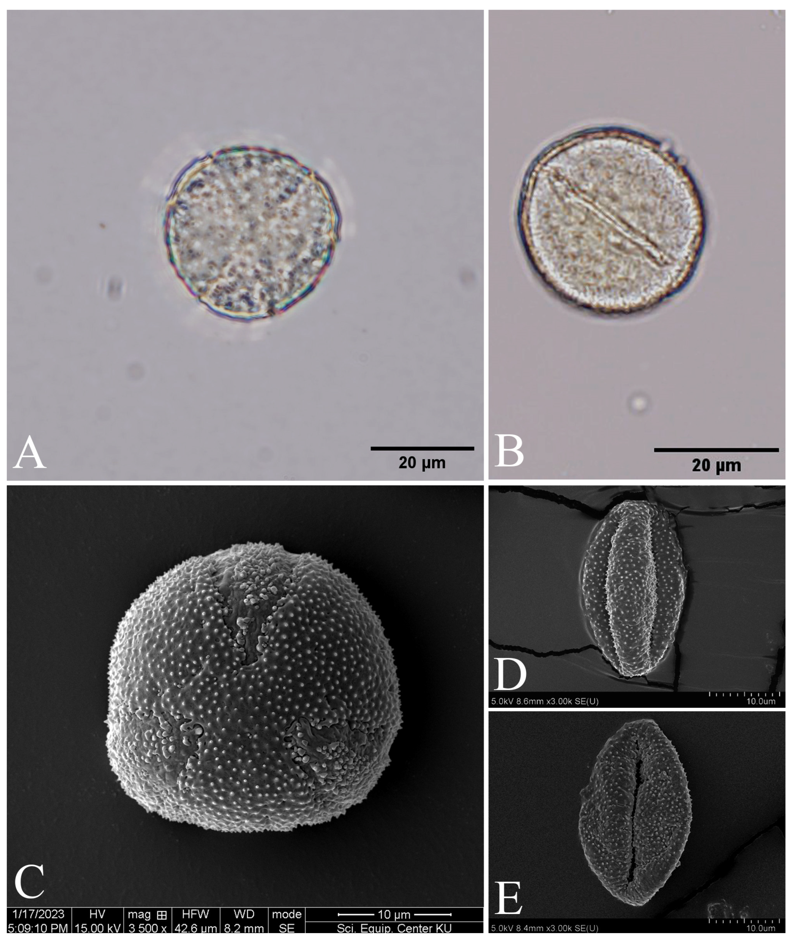 Plants 12 02105 g013