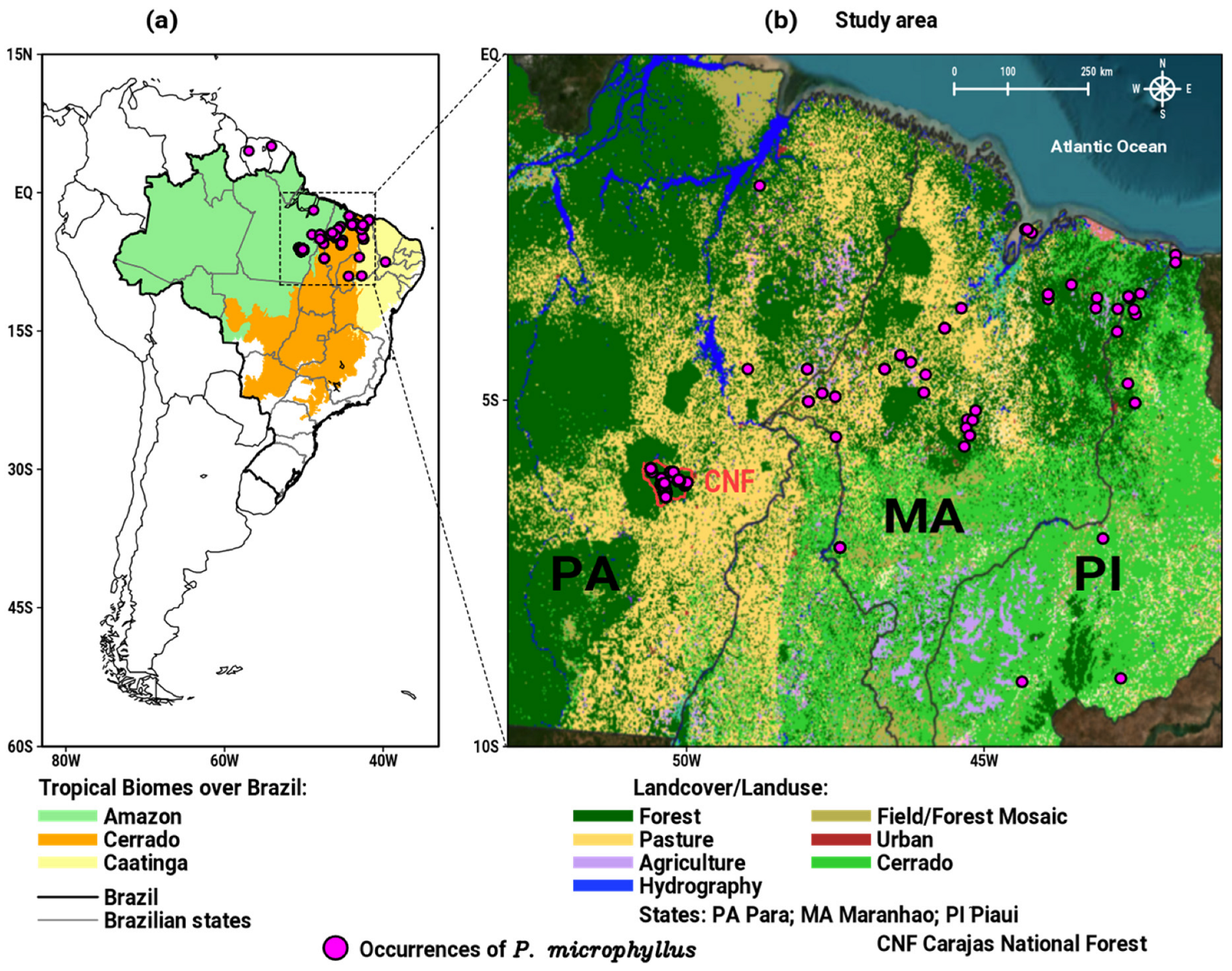 Plants 12 02106 g001 Plants 12 02106 g001