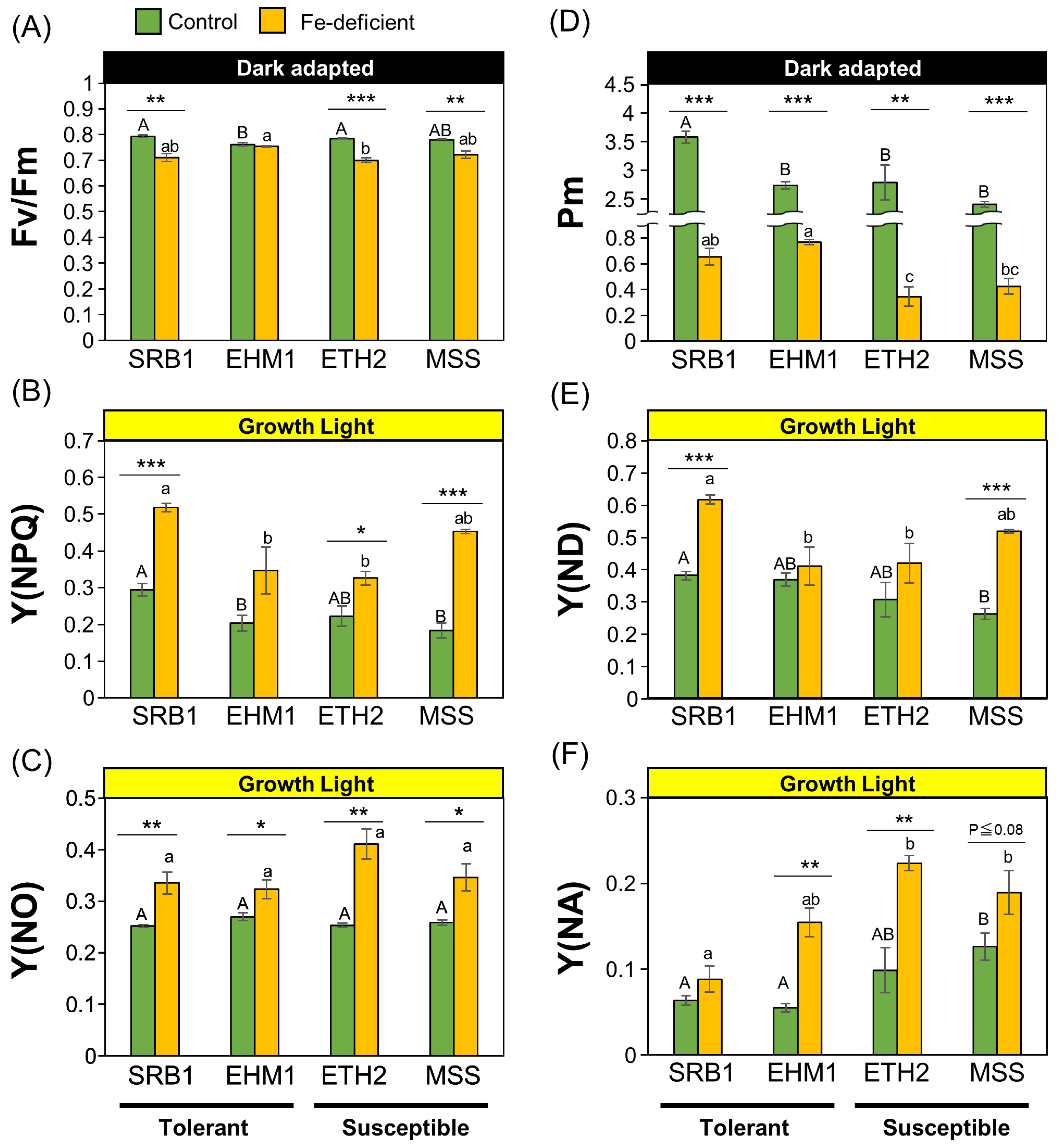 Plants 12 02111 g001