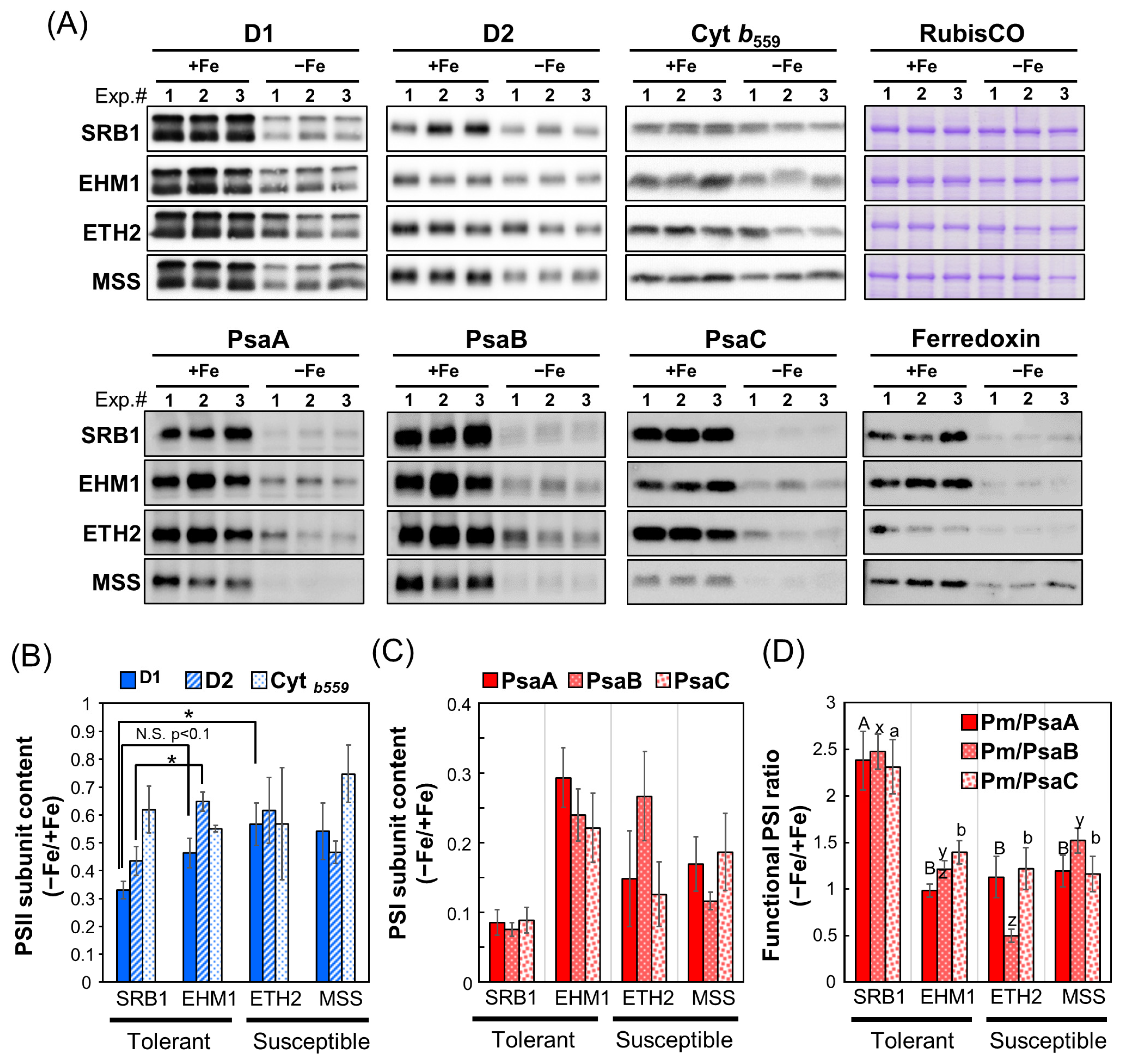 Plants 12 02111 g002