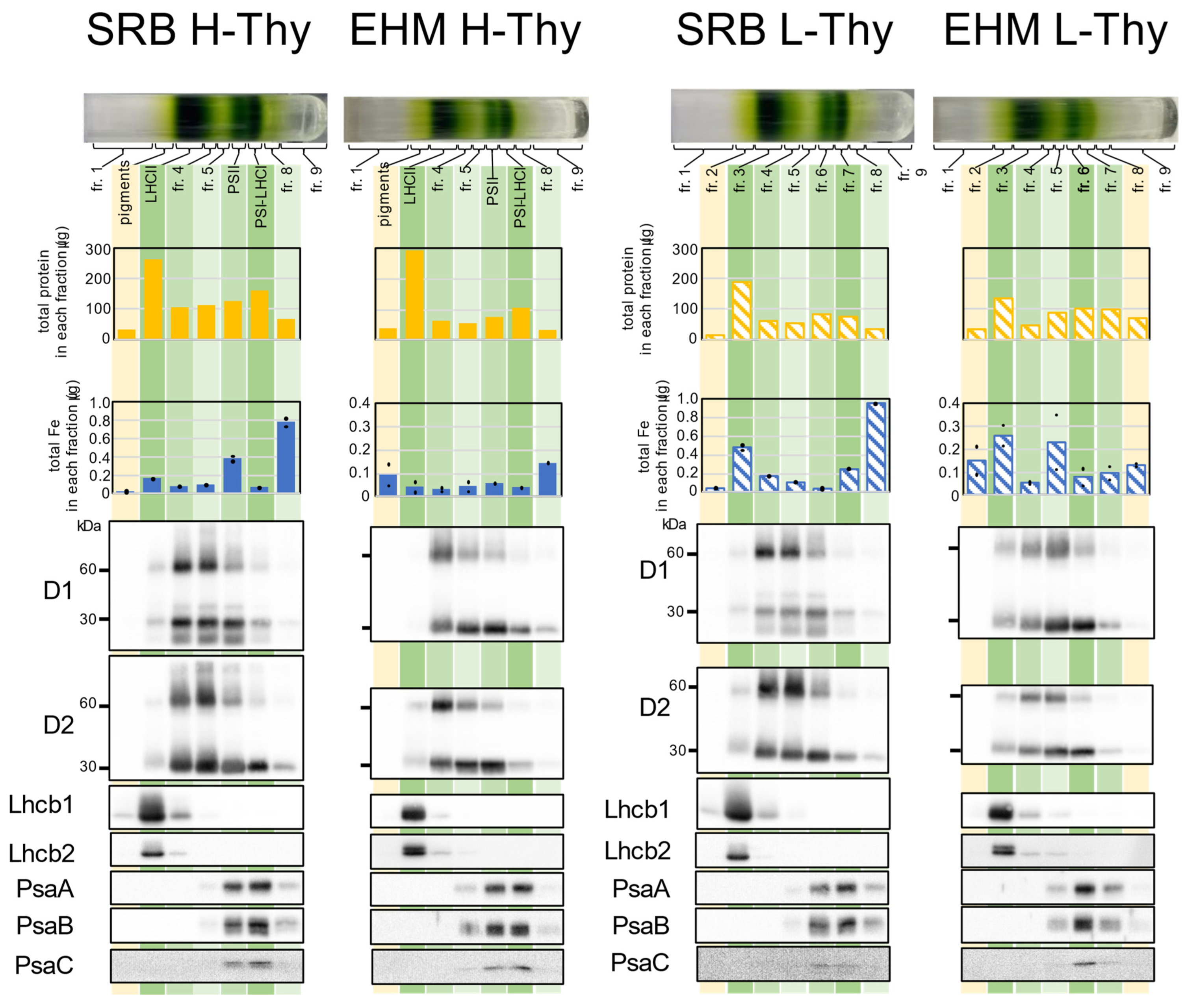 Plants 12 02111 g004