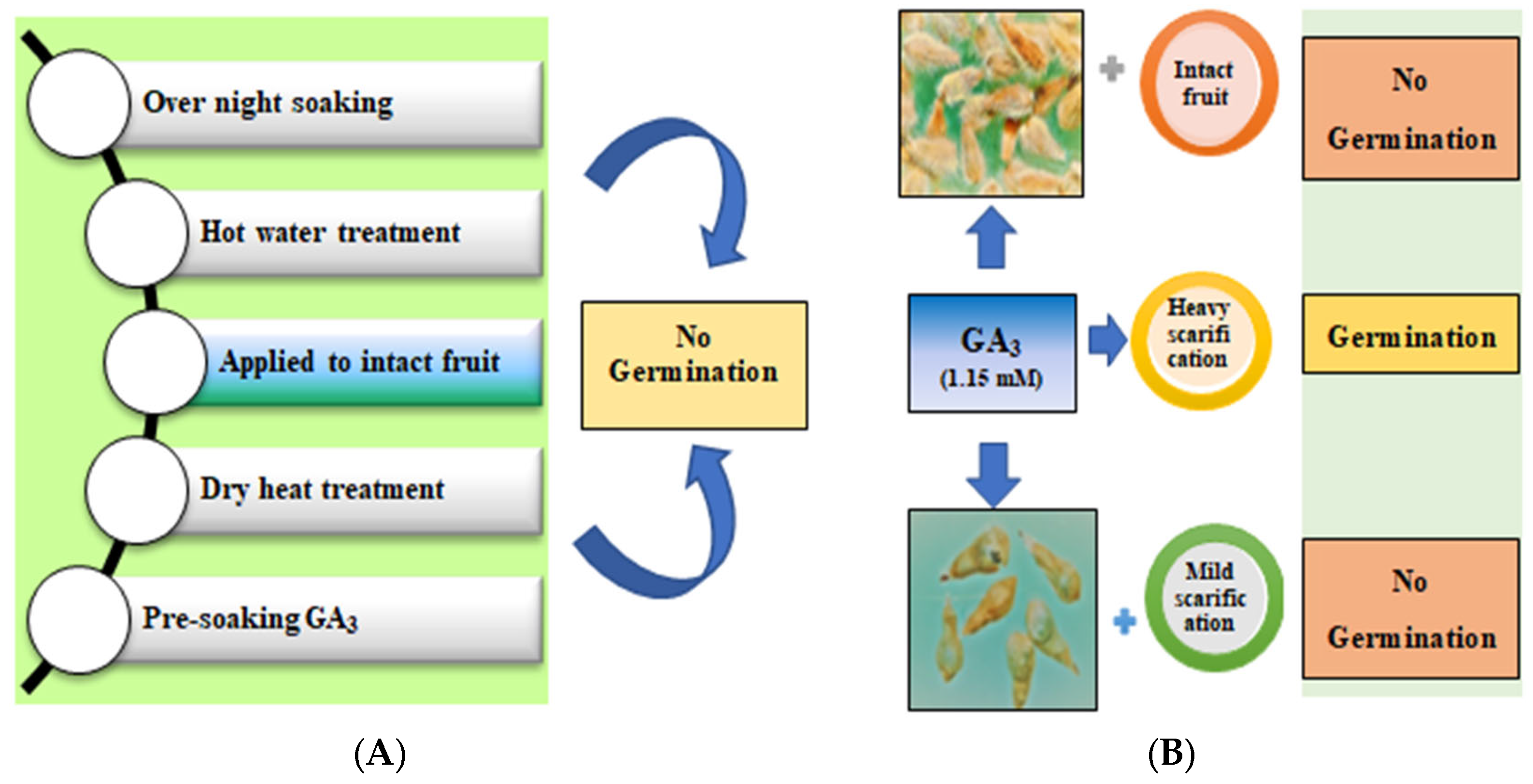Plants 12 02112 g002