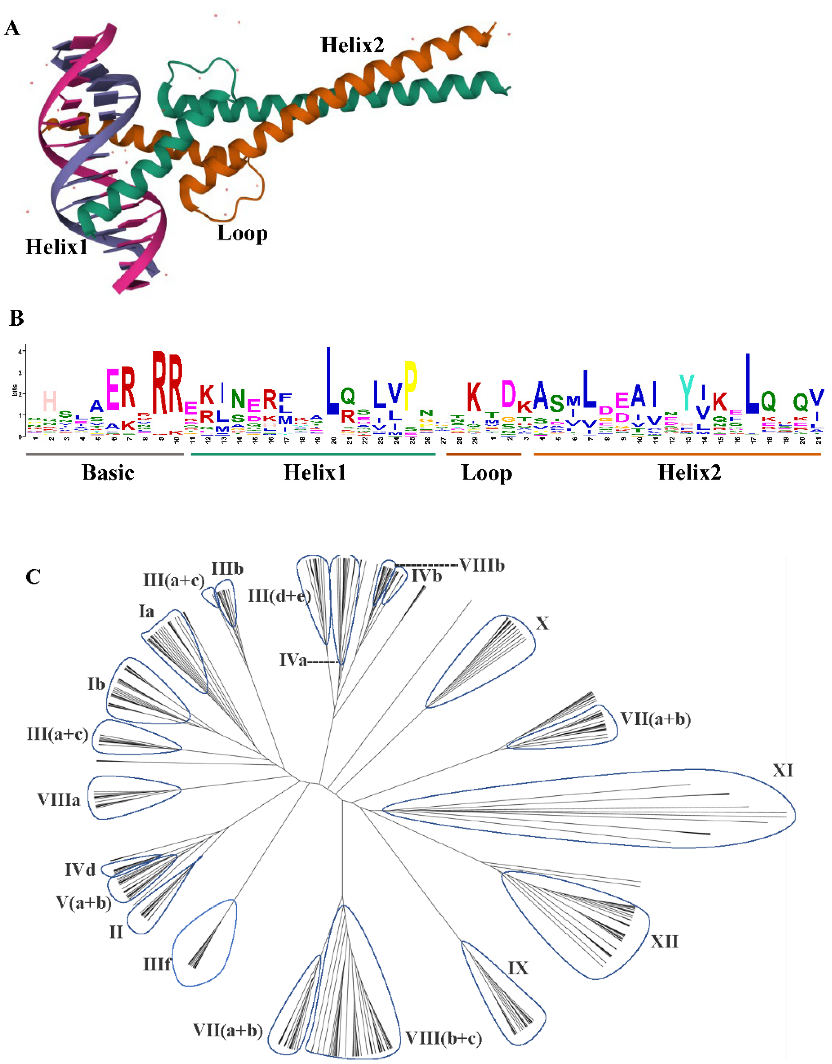 Plants 12 02113 g001 Plants 12 02113 g001