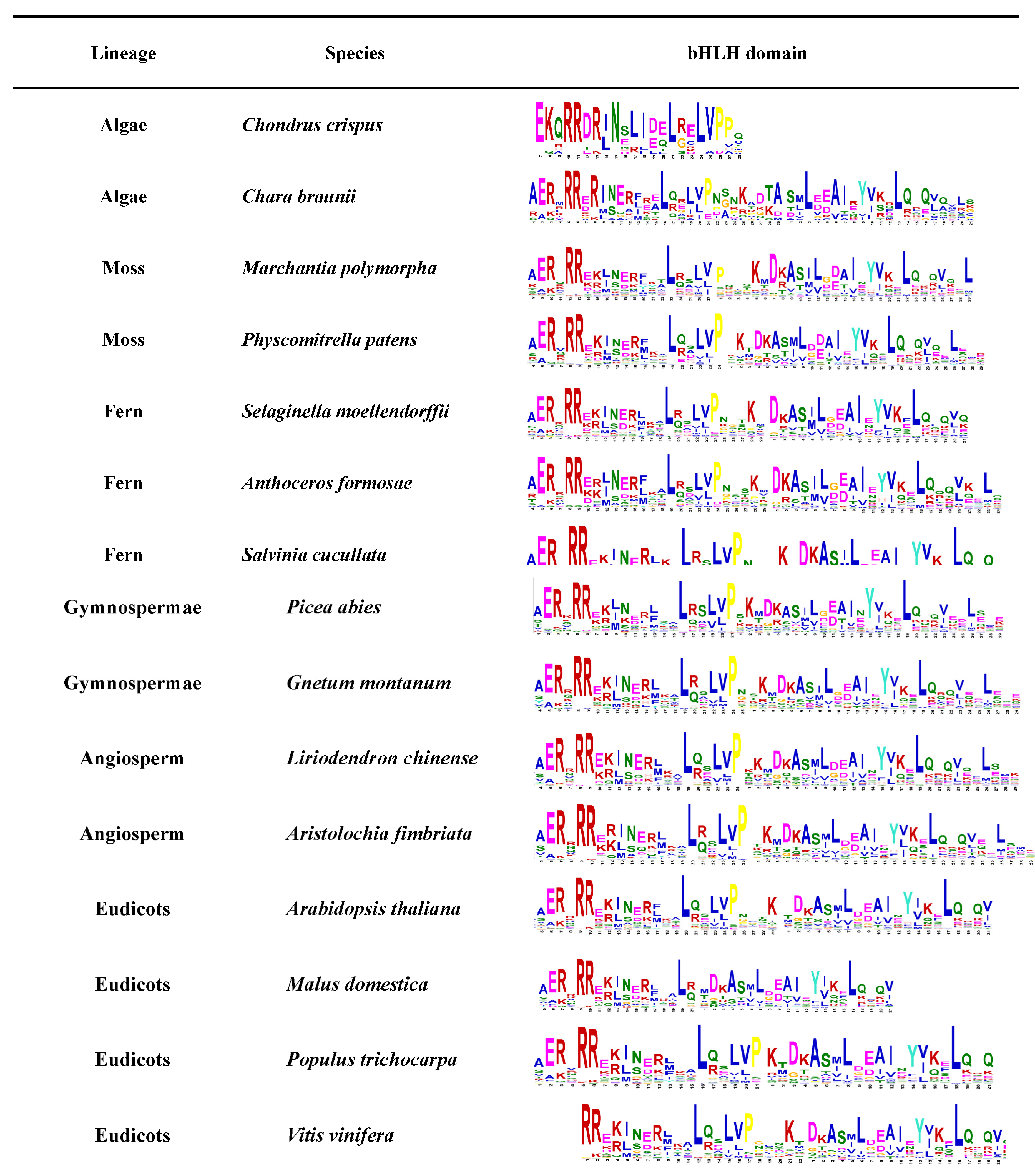 Plants 12 02113 g002a Plants 12 02113 g002a