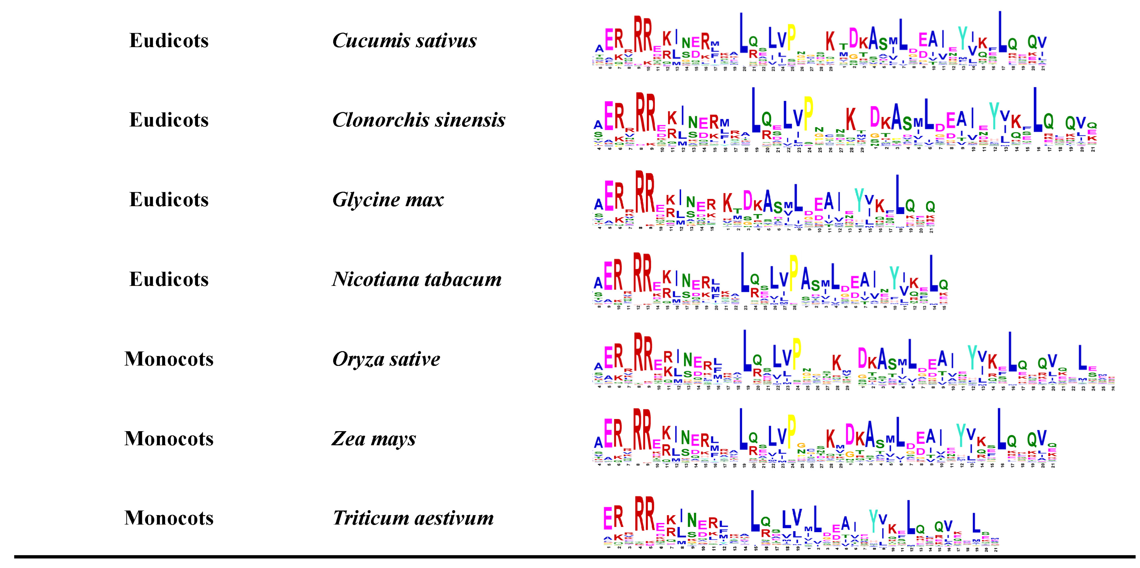 Plants 12 02113 g002b Plants 12 02113 g002b