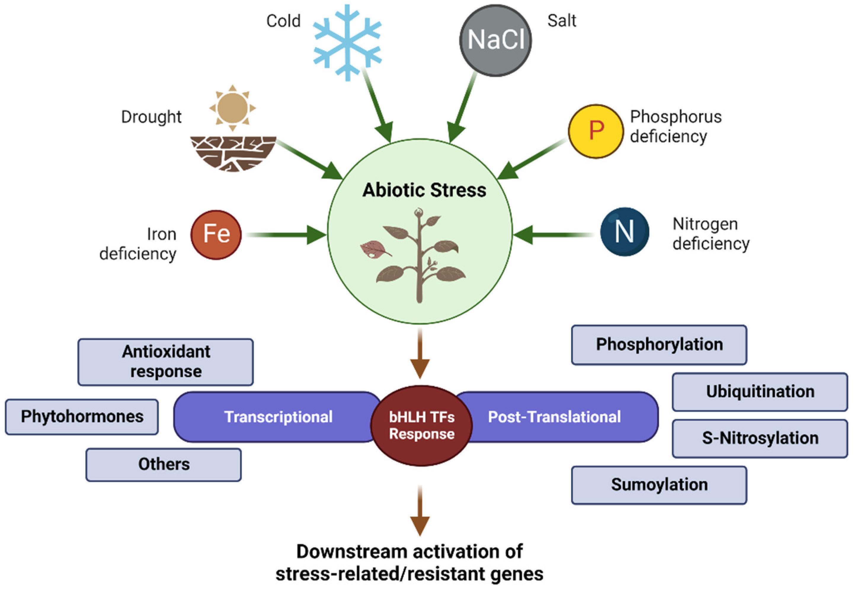 Plants 12 02113 g003 Plants 12 02113 g003