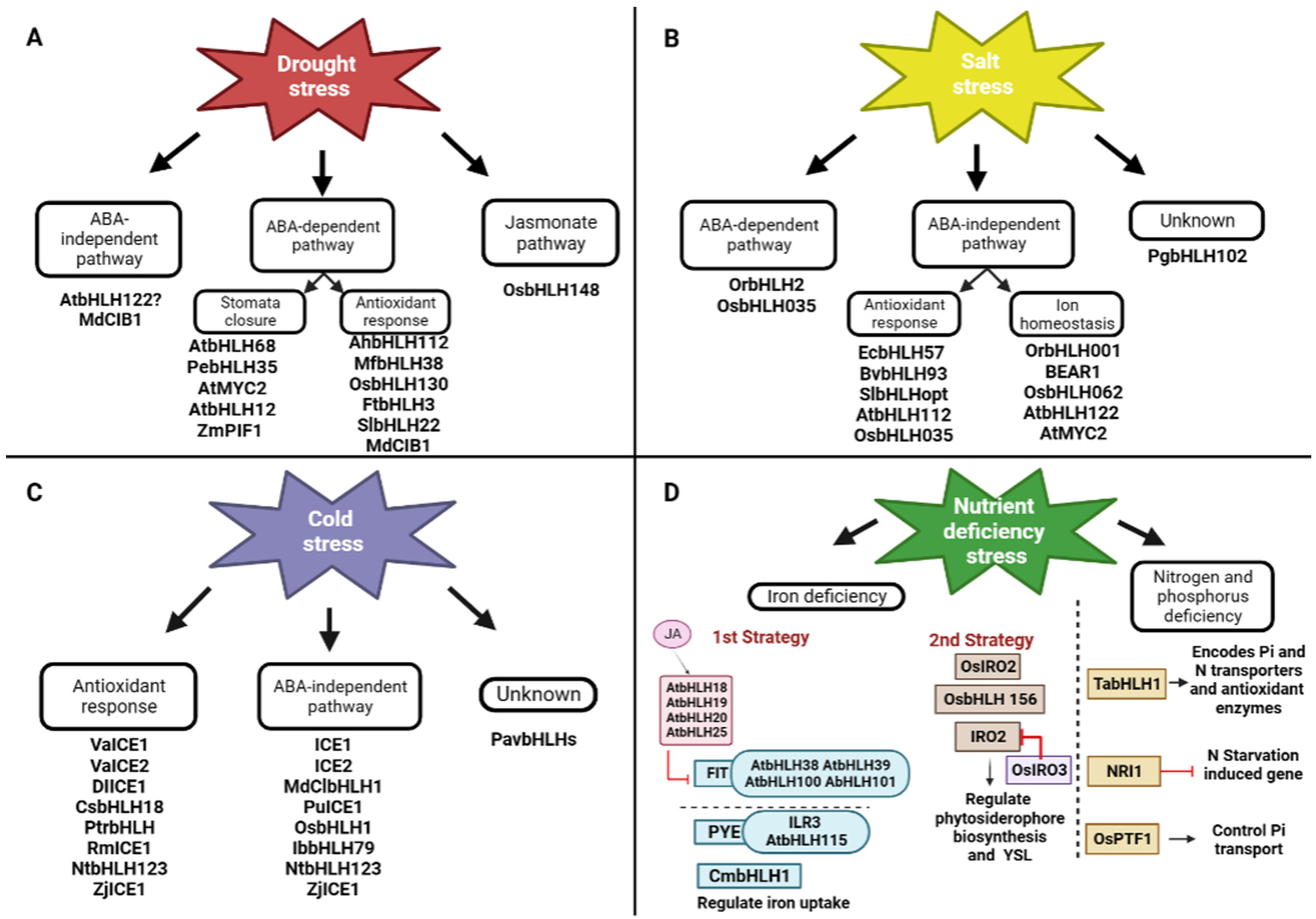 Plants 12 02113 g004 Plants 12 02113 g004