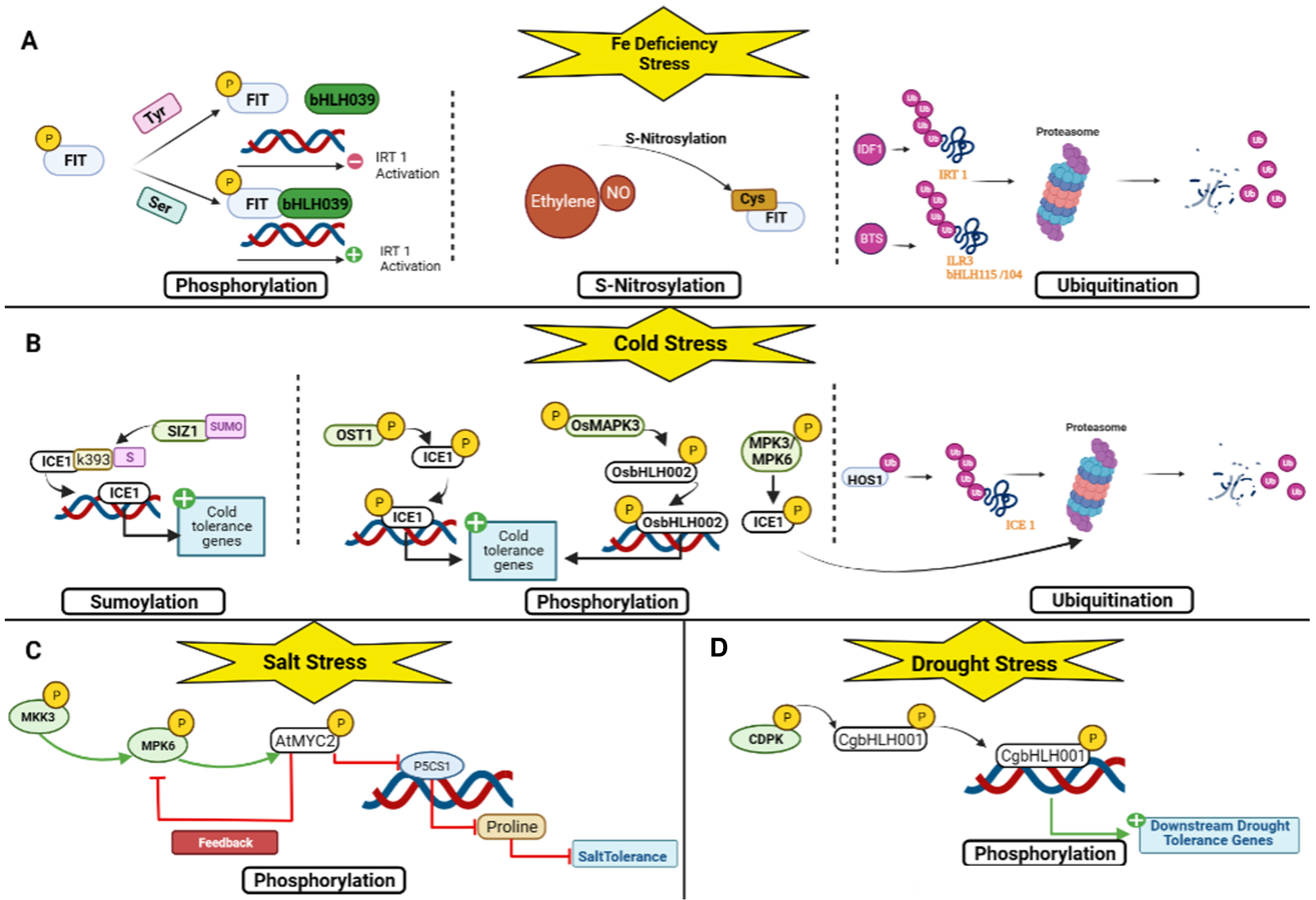 Plants 12 02113 g005 Plants 12 02113 g005