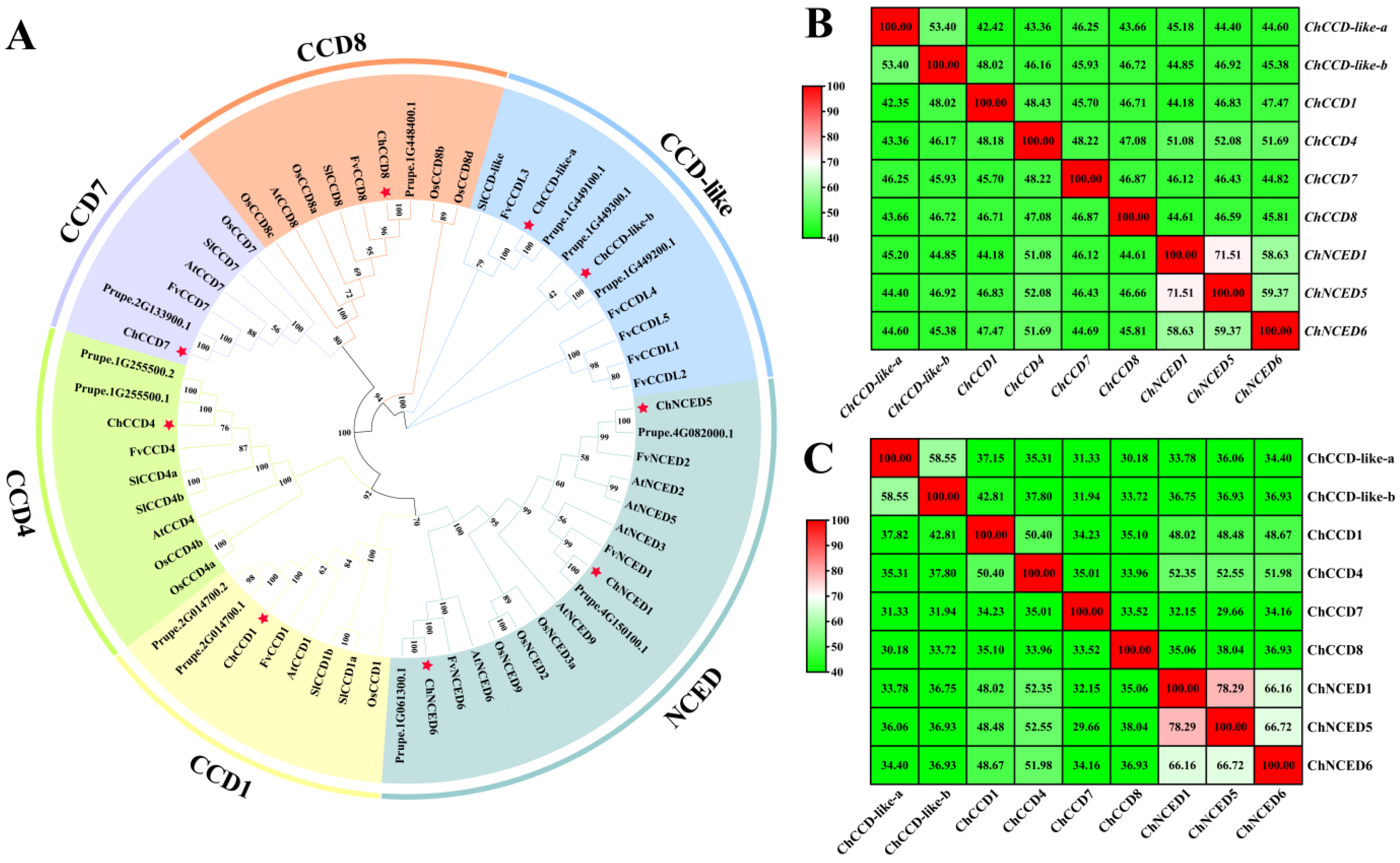 Plants 12 02114 g001 Plants 12 02114 g001
