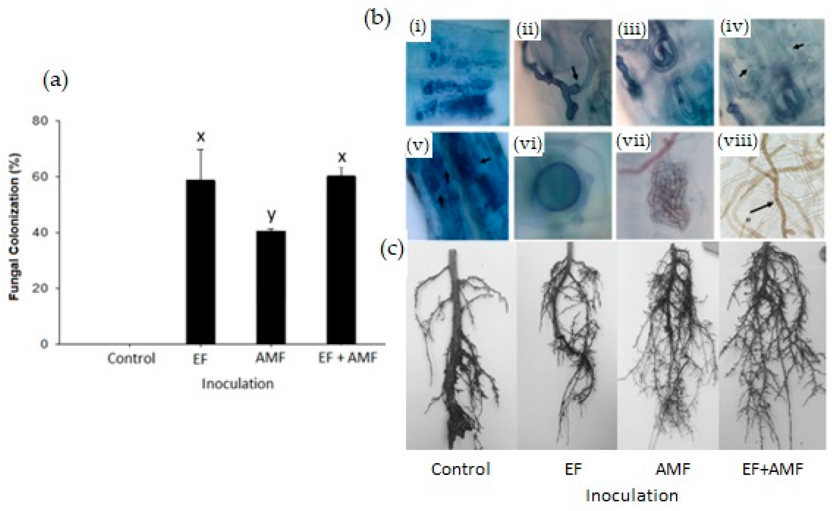 Plants 12 02116 g001 Plants 12 02116 g001