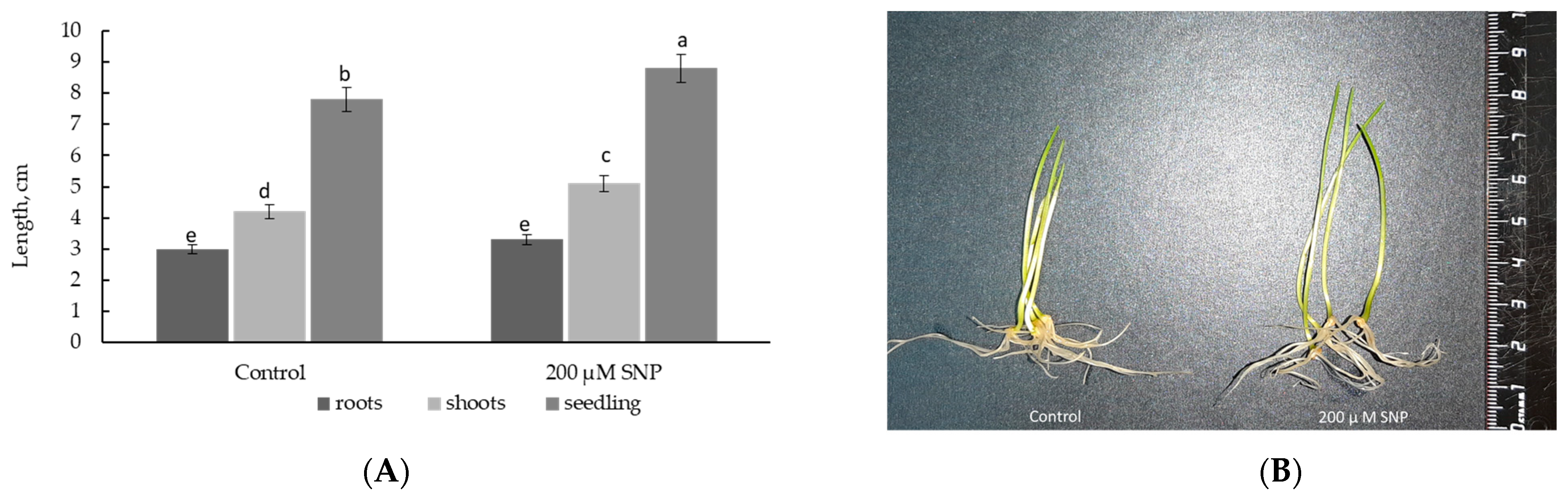 Plants 12 02123 g003 Plants 12 02123 g003