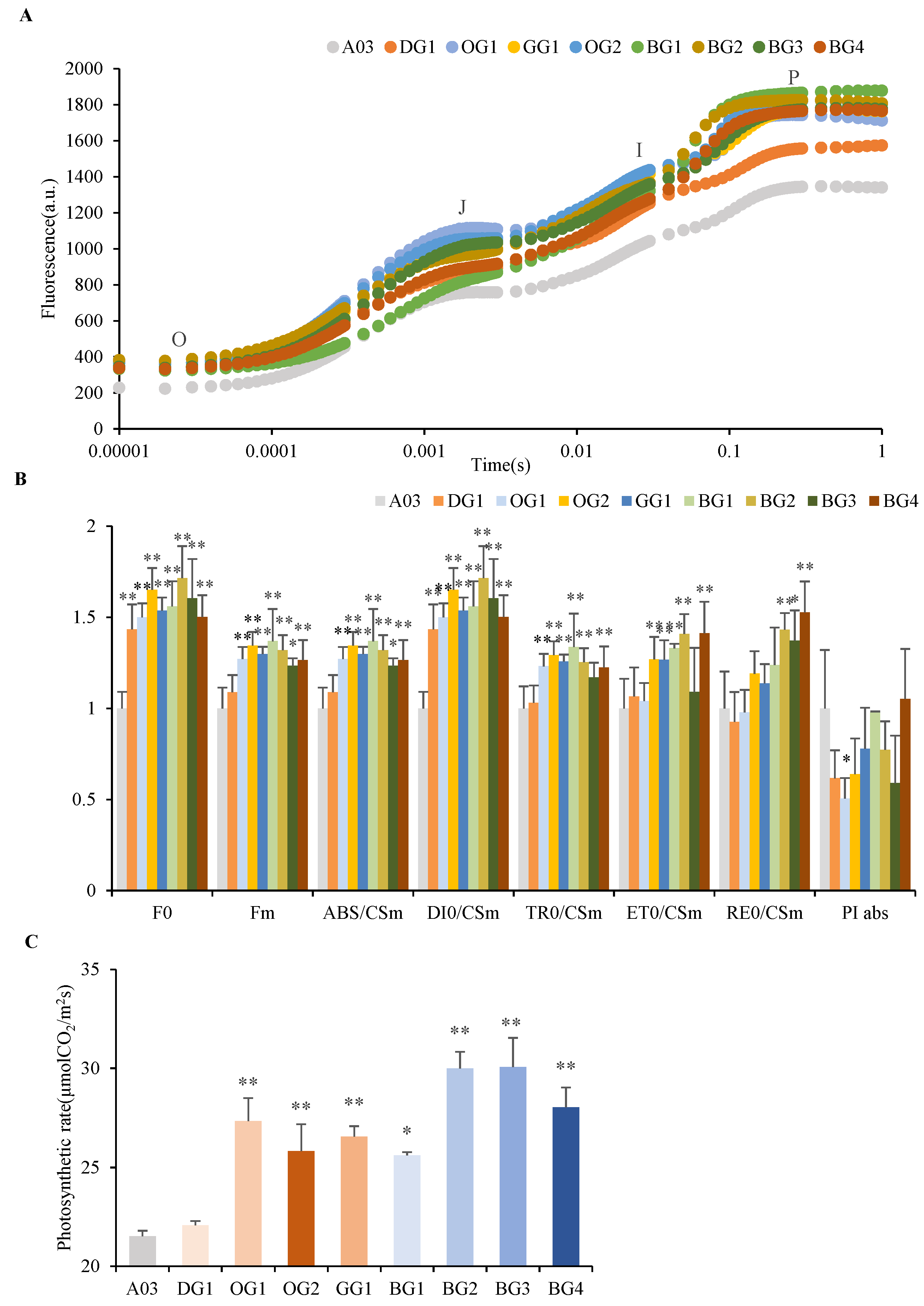 Plants 12 02124 g003 Plants 12 02124 g003