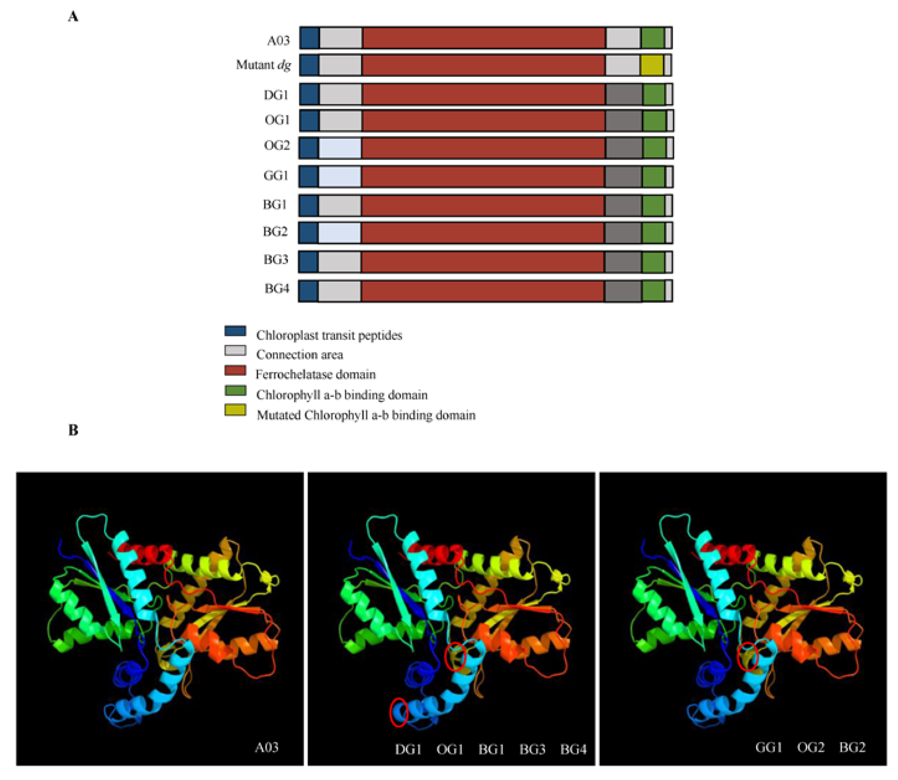 Plants 12 02124 g004 Plants 12 02124 g004