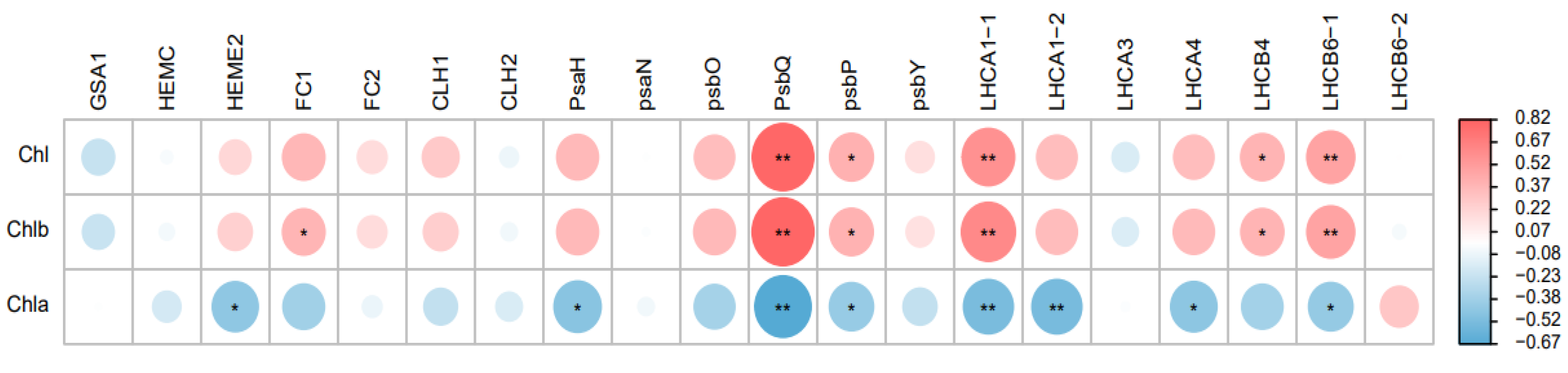 Plants 12 02124 g006 Plants 12 02124 g006