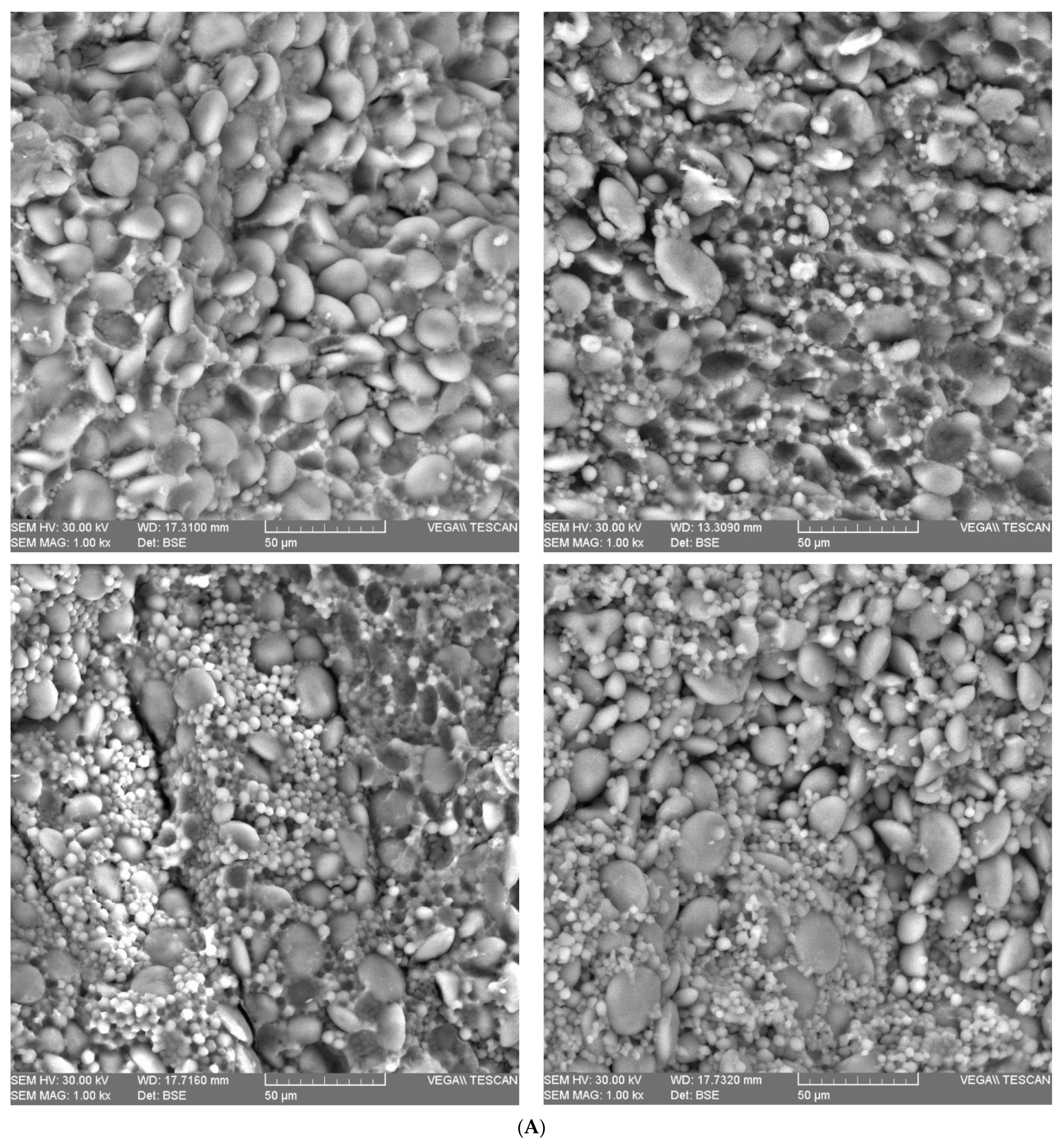 Plants 12 02138 g003a Plants 12 02138 g003a