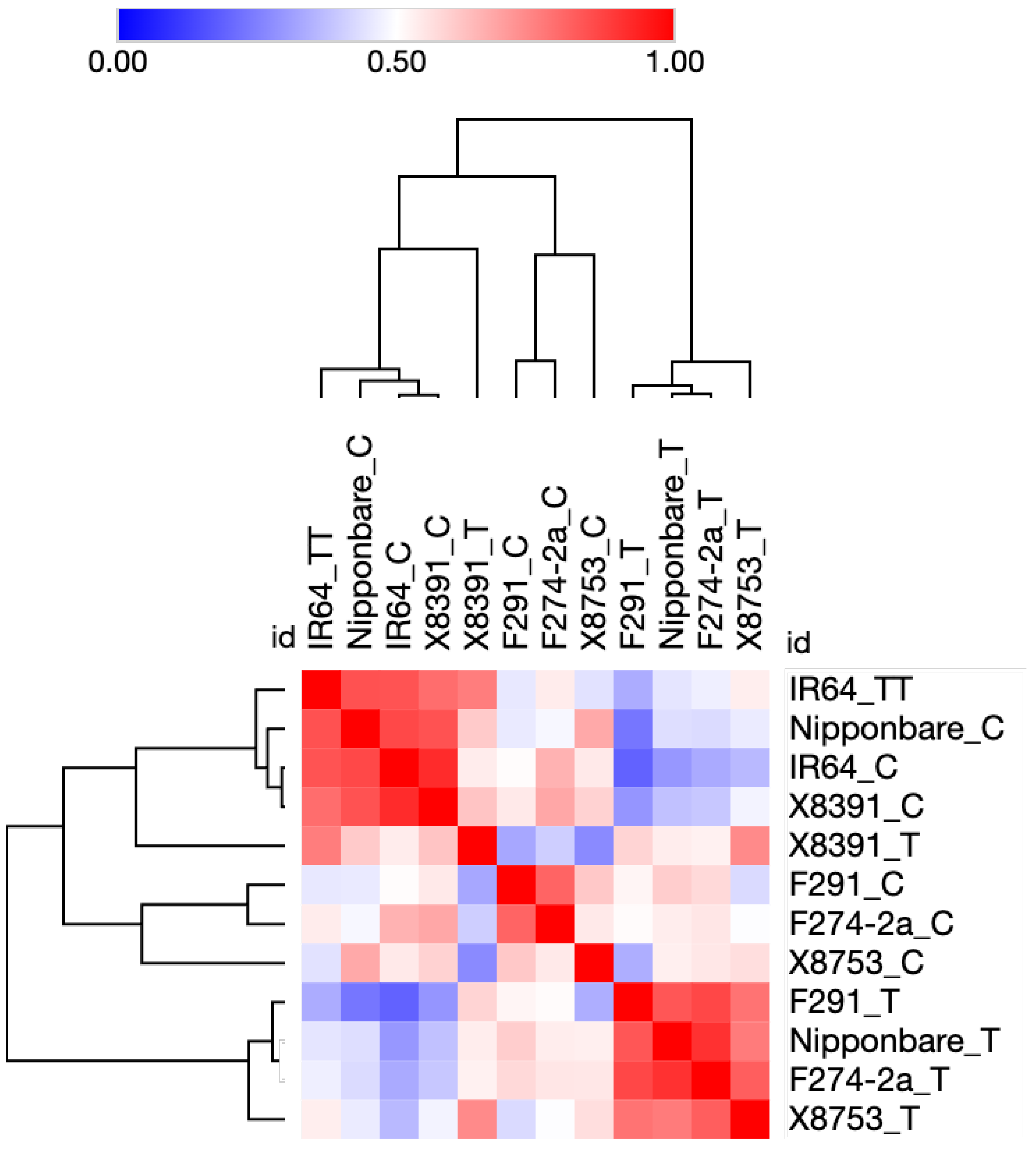 Plants 12 02146 g001