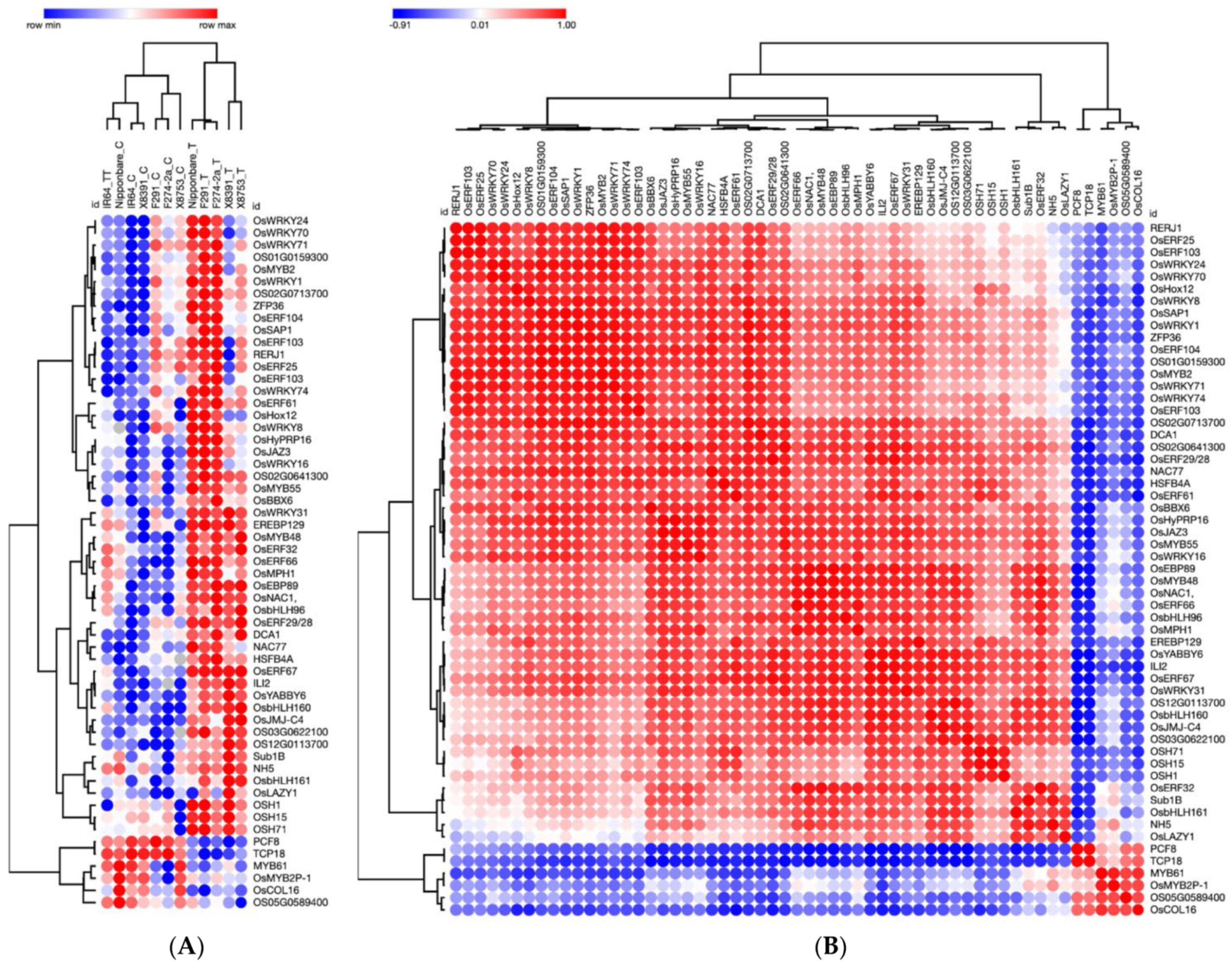 Plants 12 02146 g002