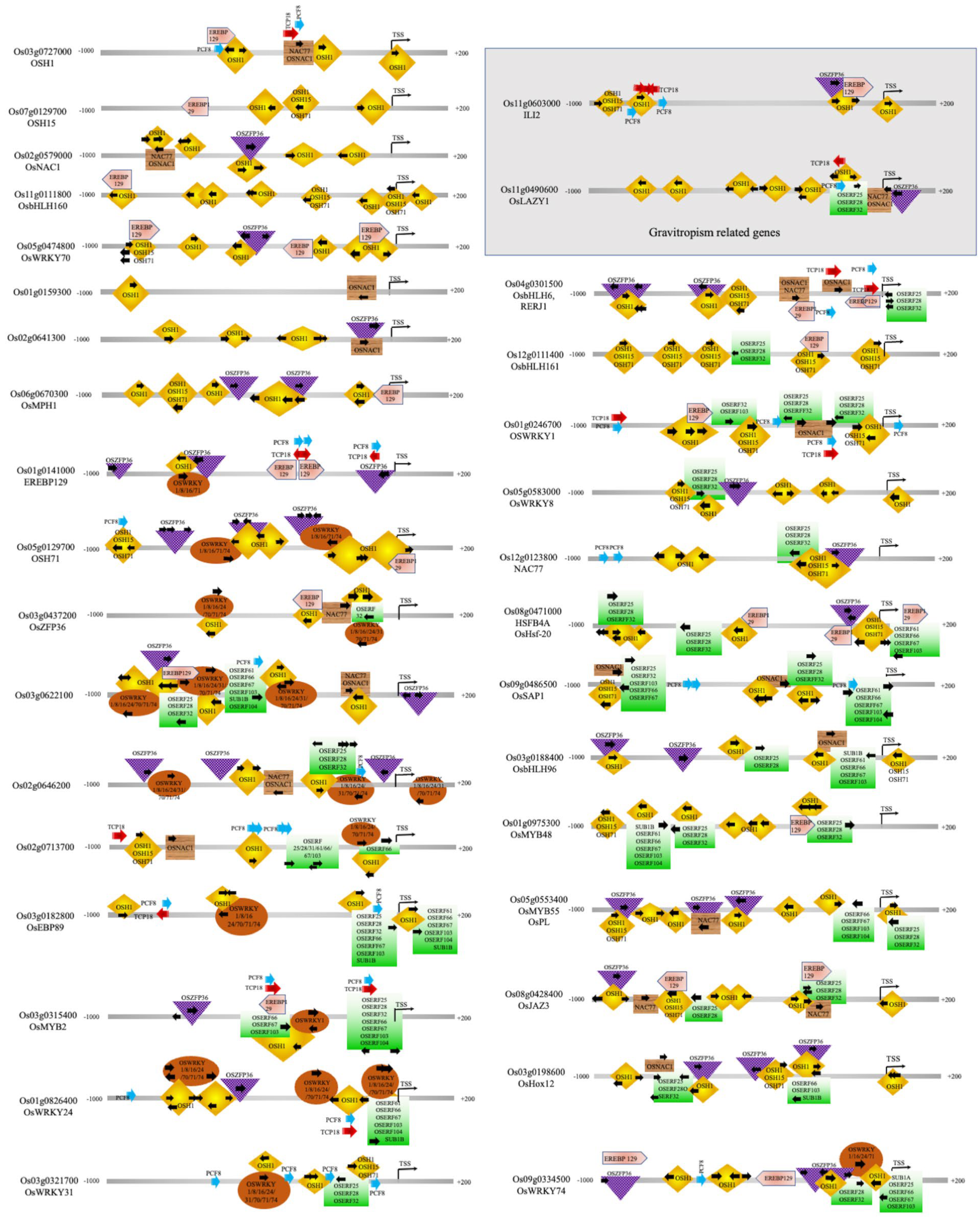 Plants 12 02146 g003