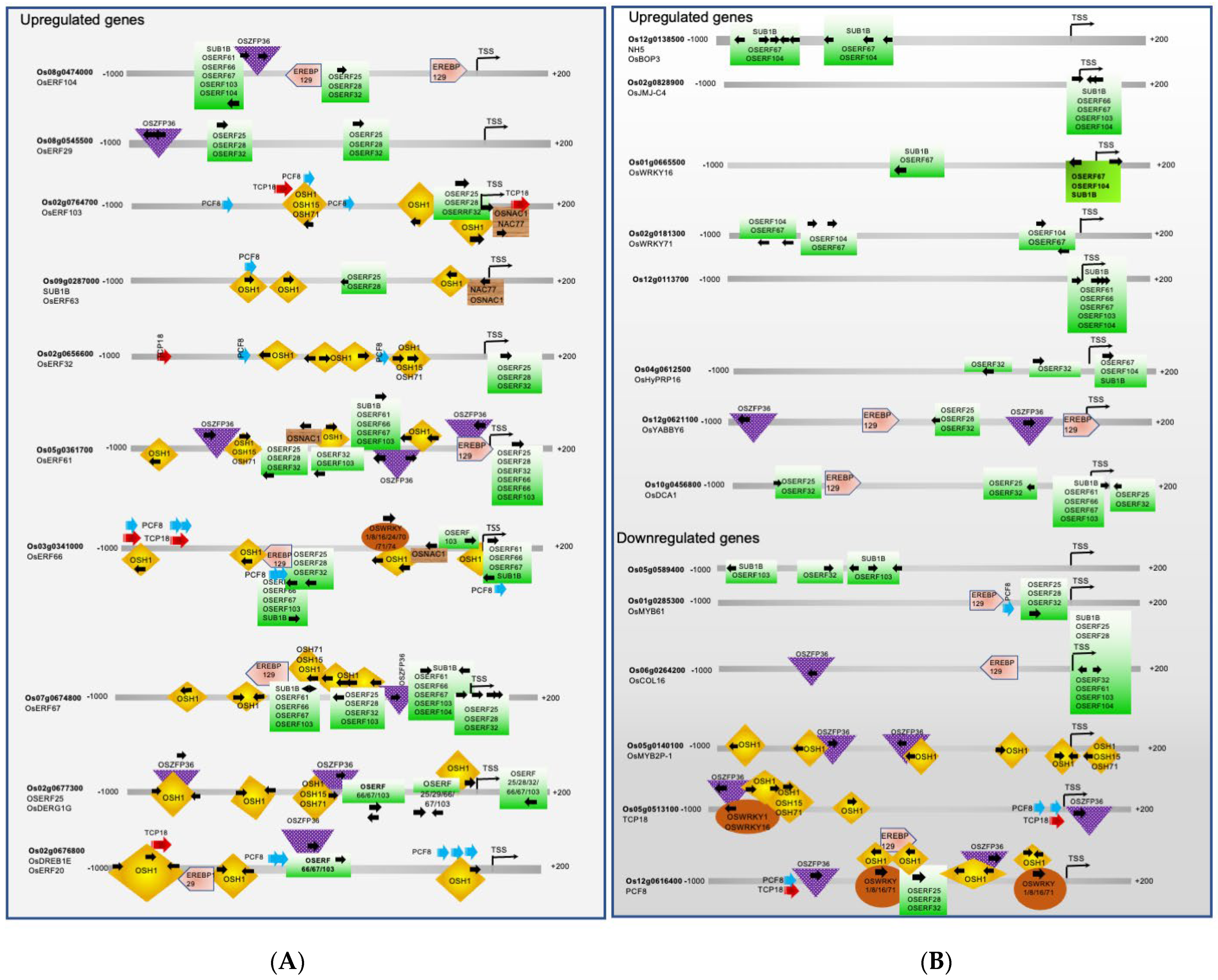 Plants 12 02146 g004